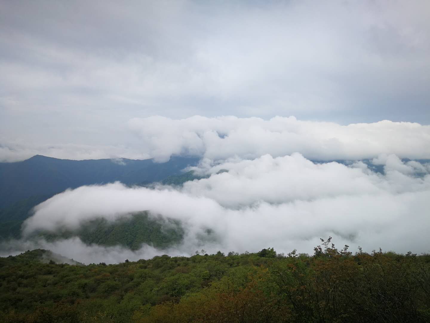 蓬萊仙境!天上人間?神農架——你是天庭忘了徵收的地塊嗎?