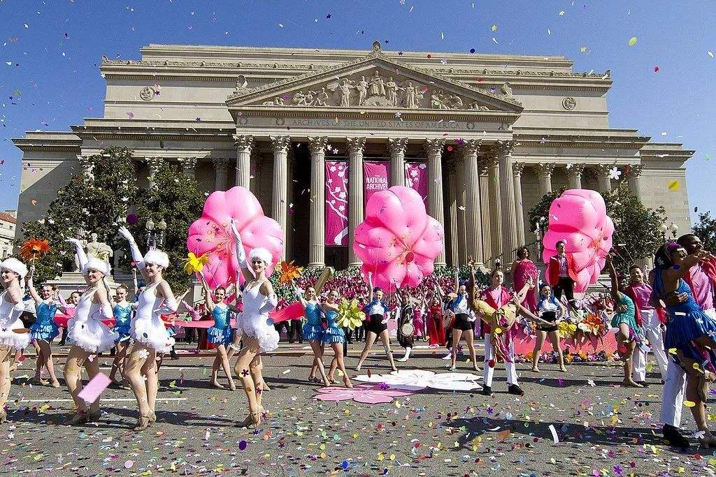 美国华盛顿樱花正当时