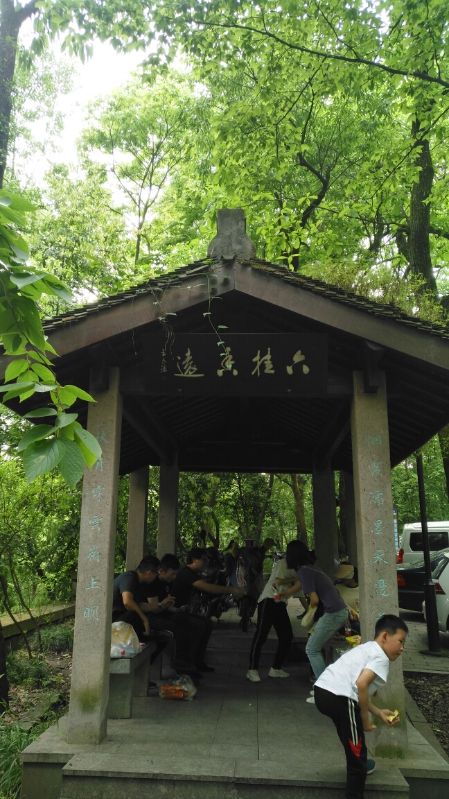 201952杭州九溪烟树,理安寺,乾隆古道,杨梅岭,龙井村环线