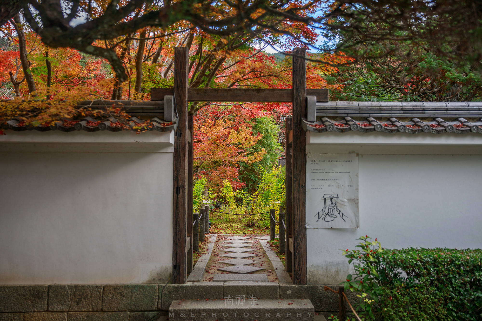 京都自助遊攻略