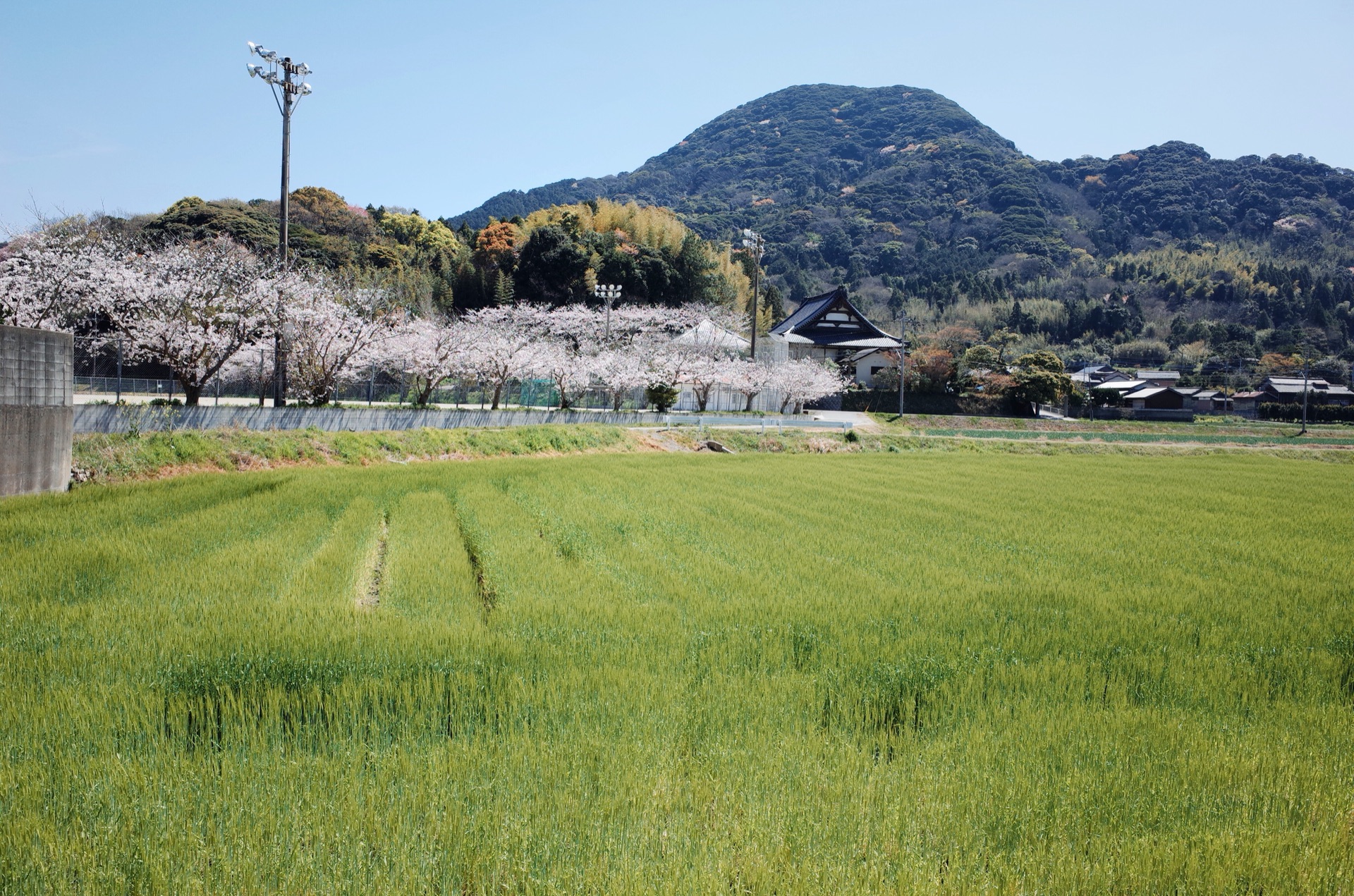 福岡自助遊攻略