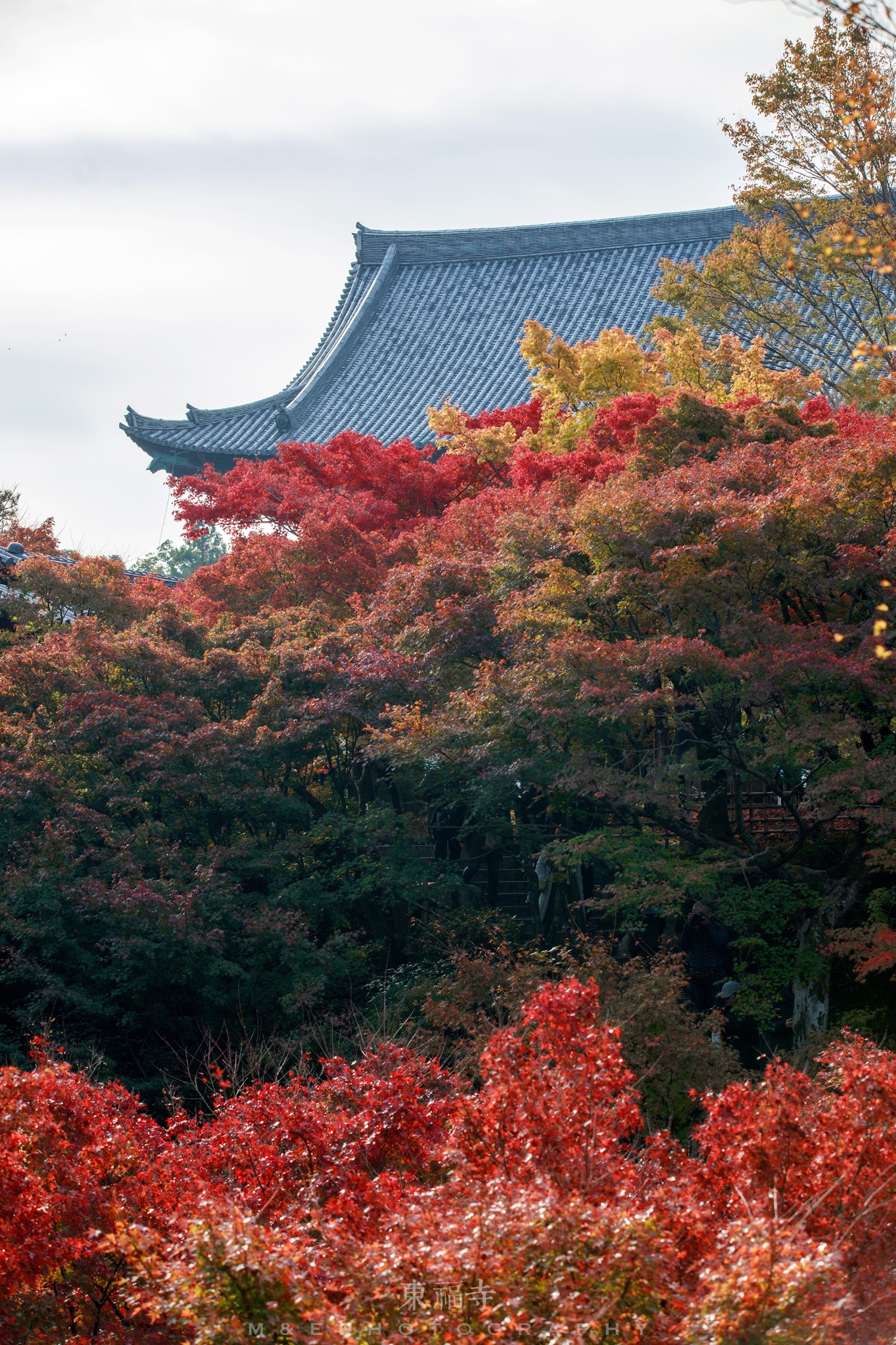 京都自助遊攻略