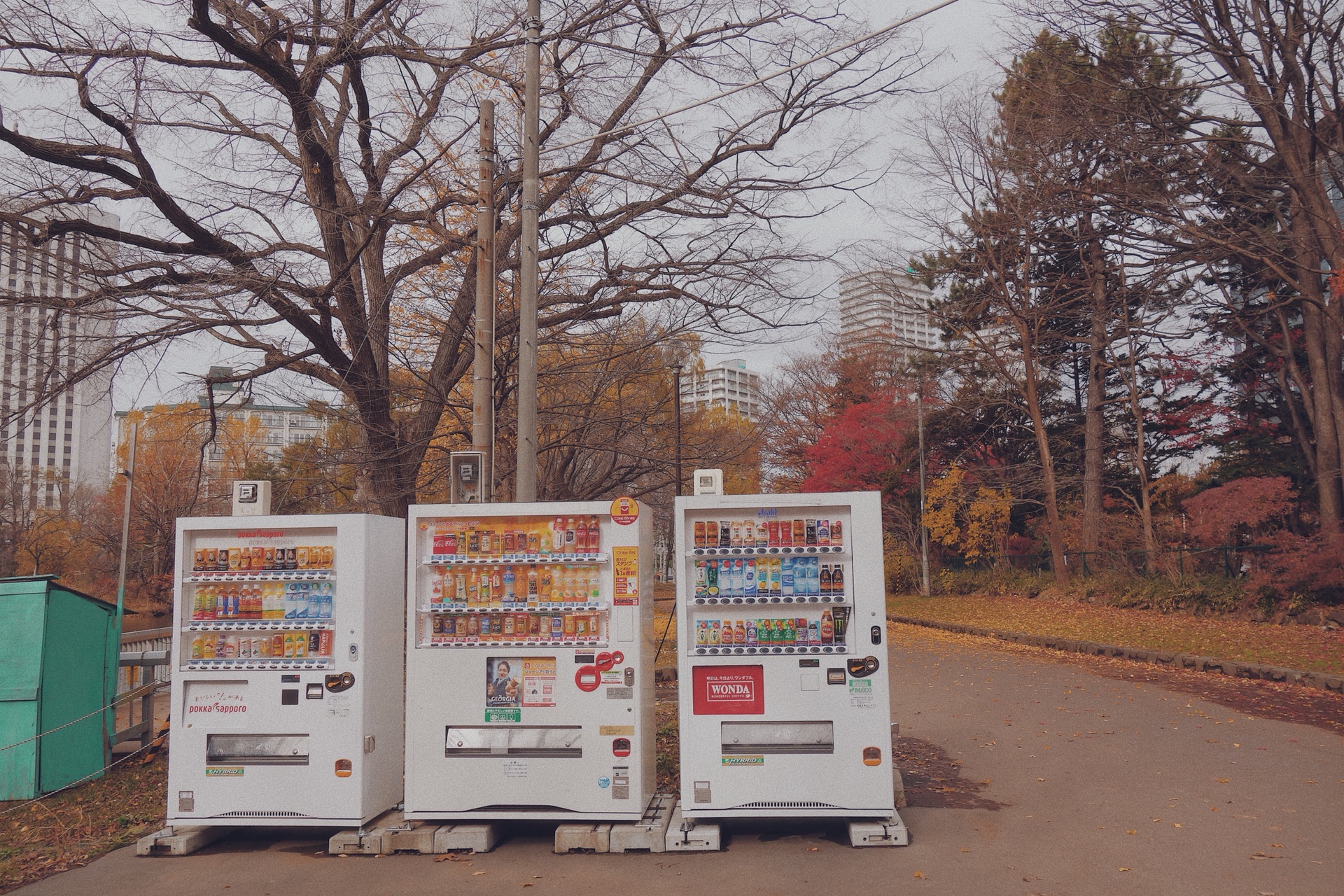 北海道自助遊攻略