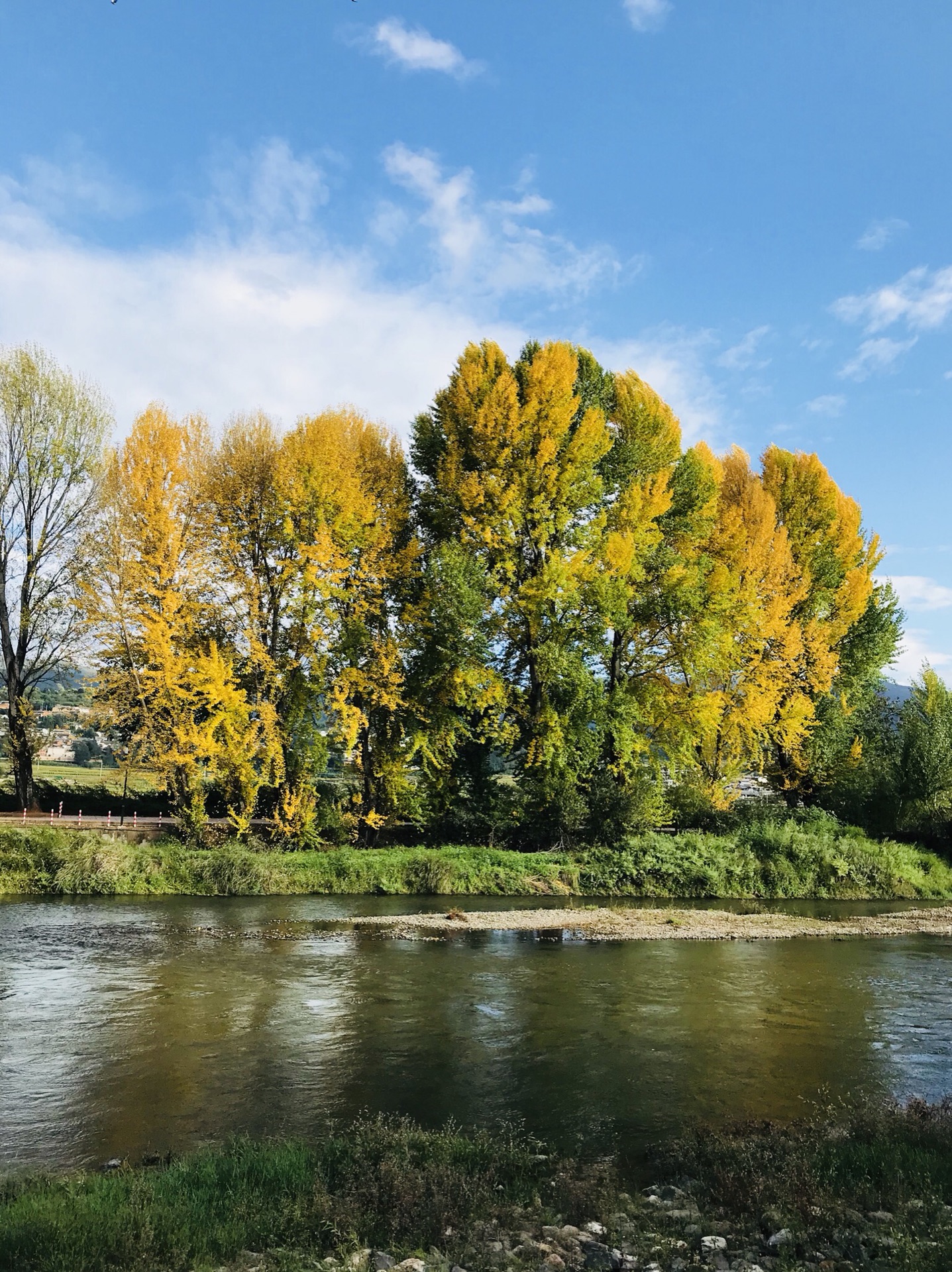 秋夏交响曲我们的烟云沧南