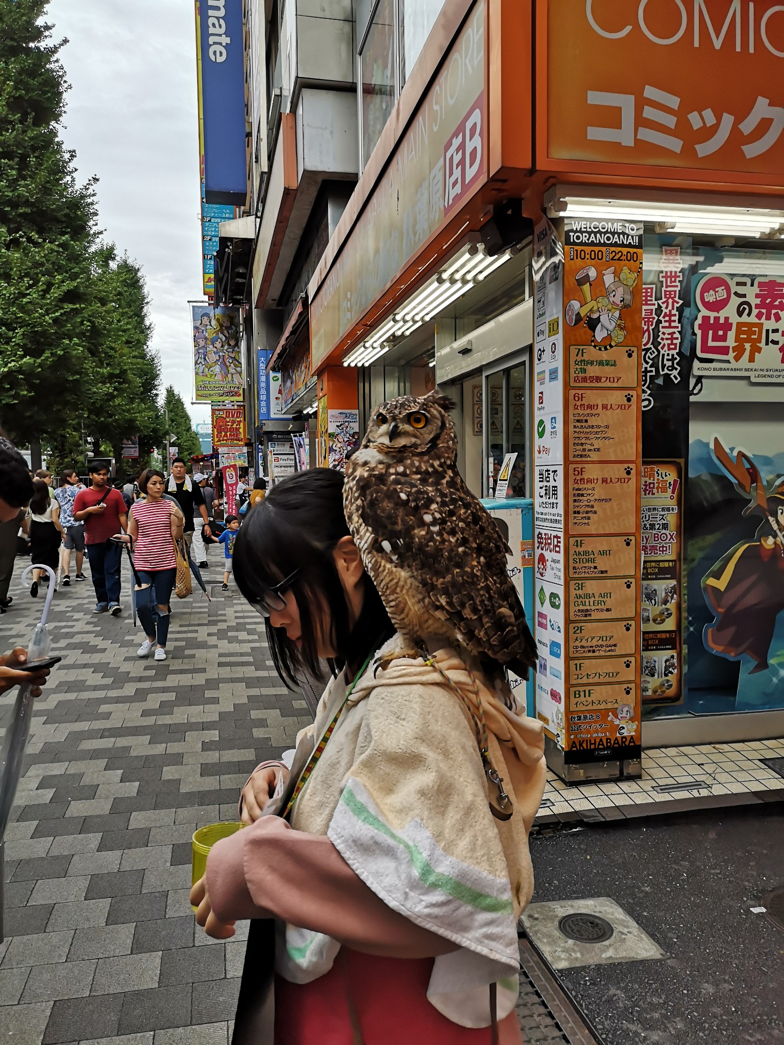 東京自助遊攻略