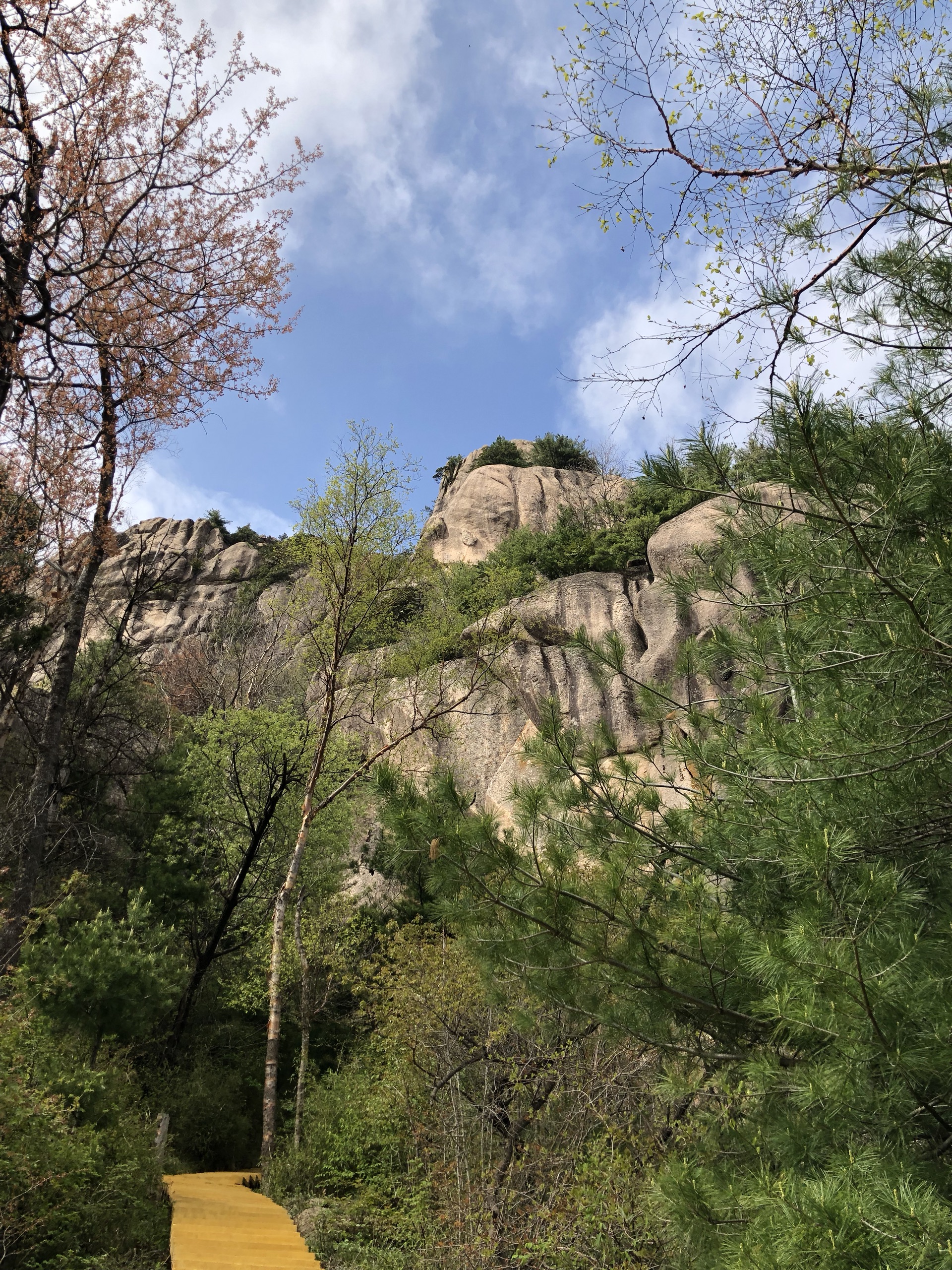 地址:陝西省寶雞市鳳縣通天河國家森林公園寶雞辦事處(大慶路15號)307