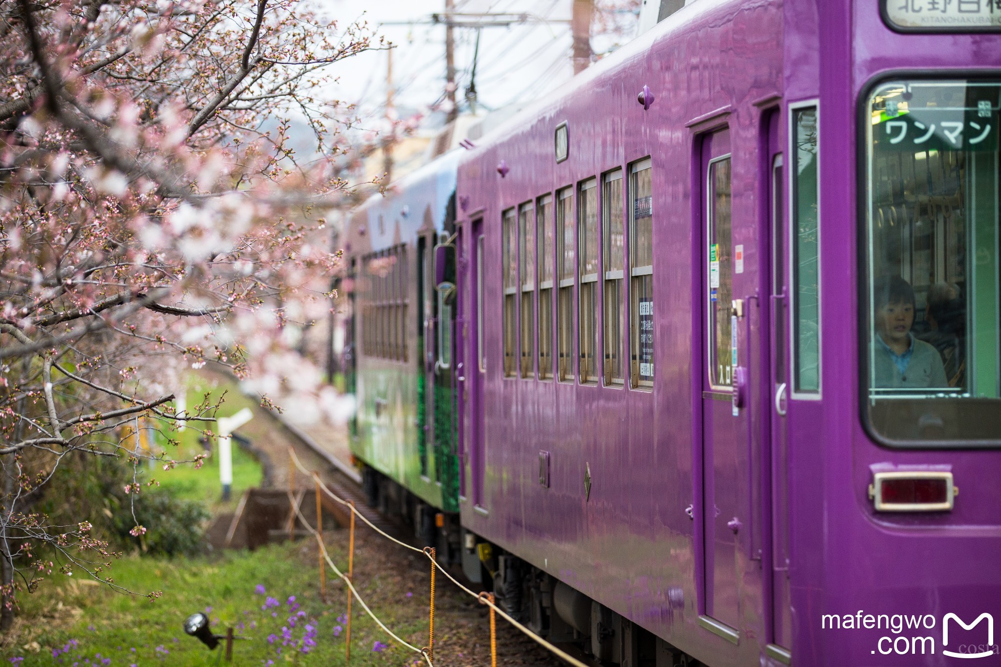 札幌自助遊攻略