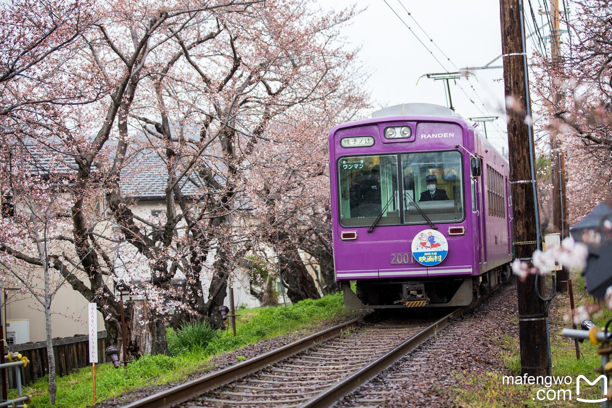 札幌自助遊攻略