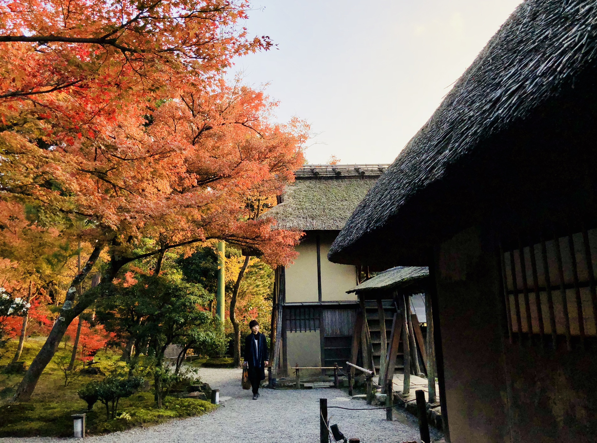 京都自助遊攻略