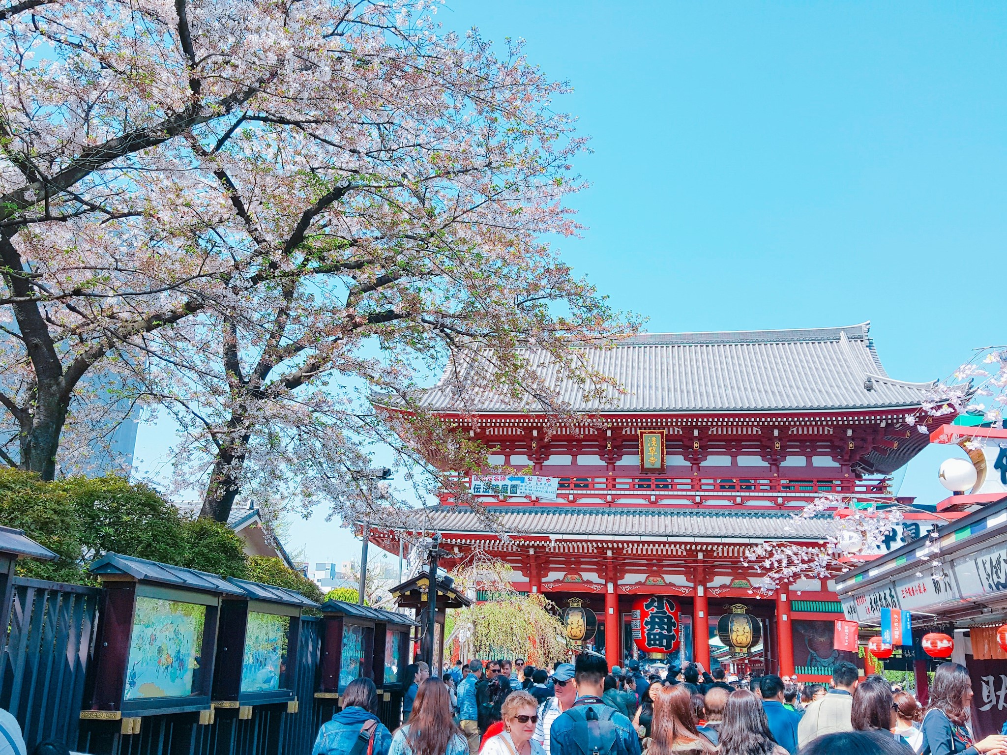 日本东京旅游不怕迷路不迷茫丨旅游app,东京交通,东京地铁指南_游记