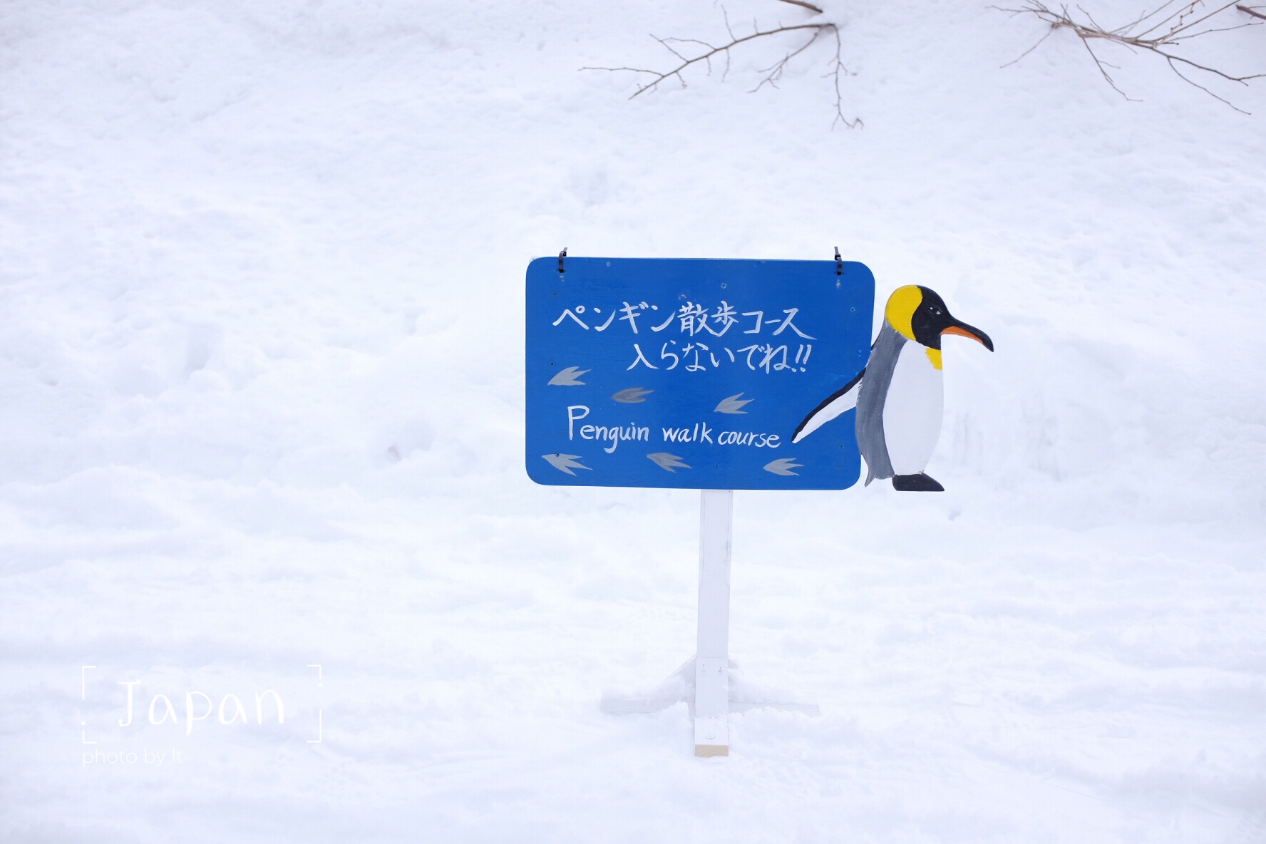 北海道自助遊攻略