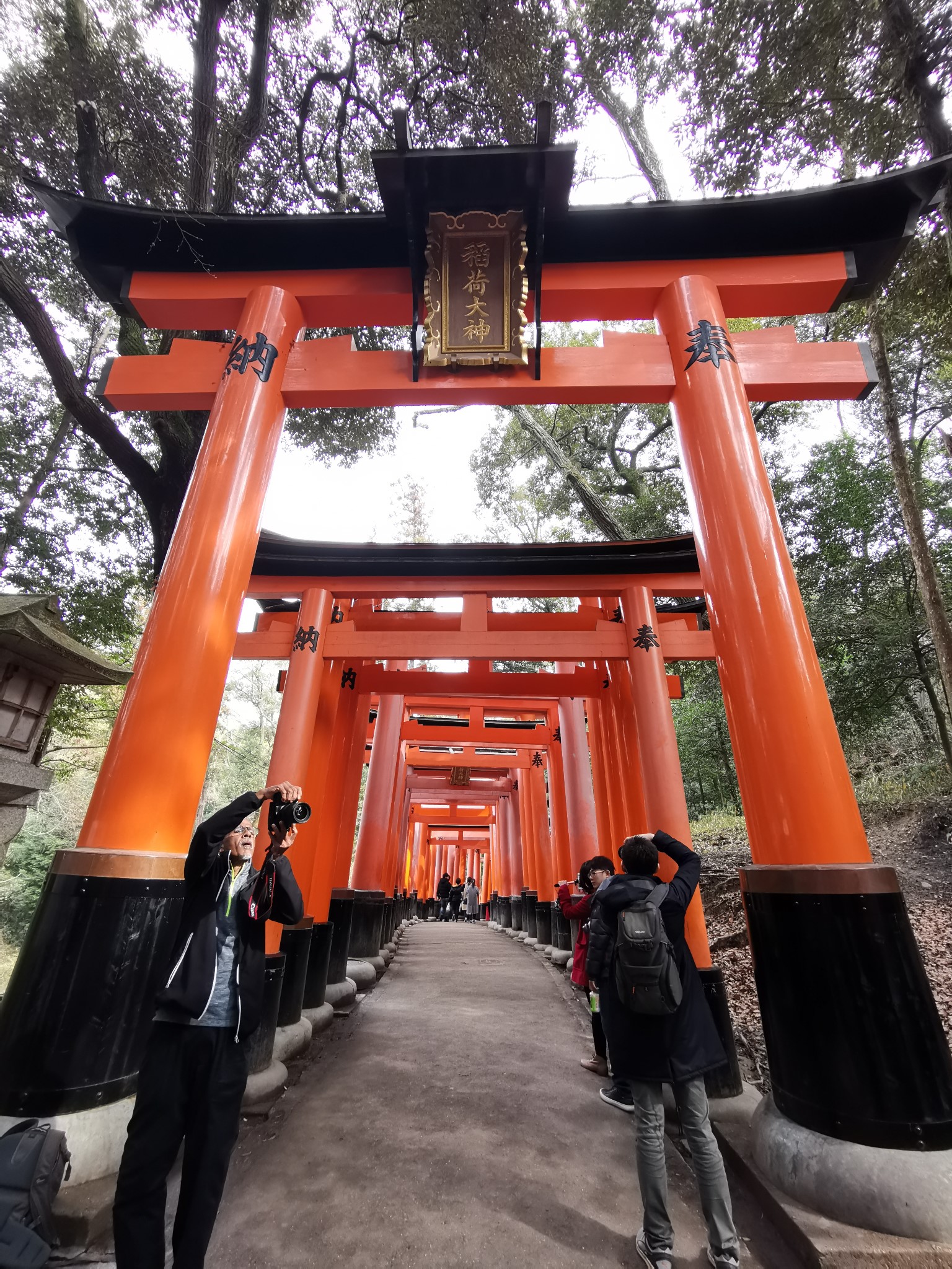 京都自助遊攻略