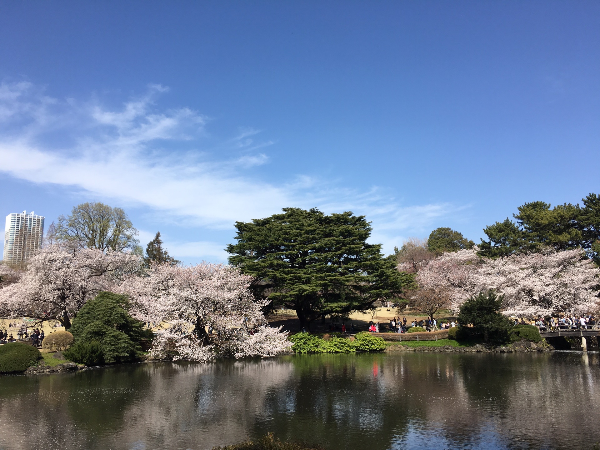 東京自助遊攻略