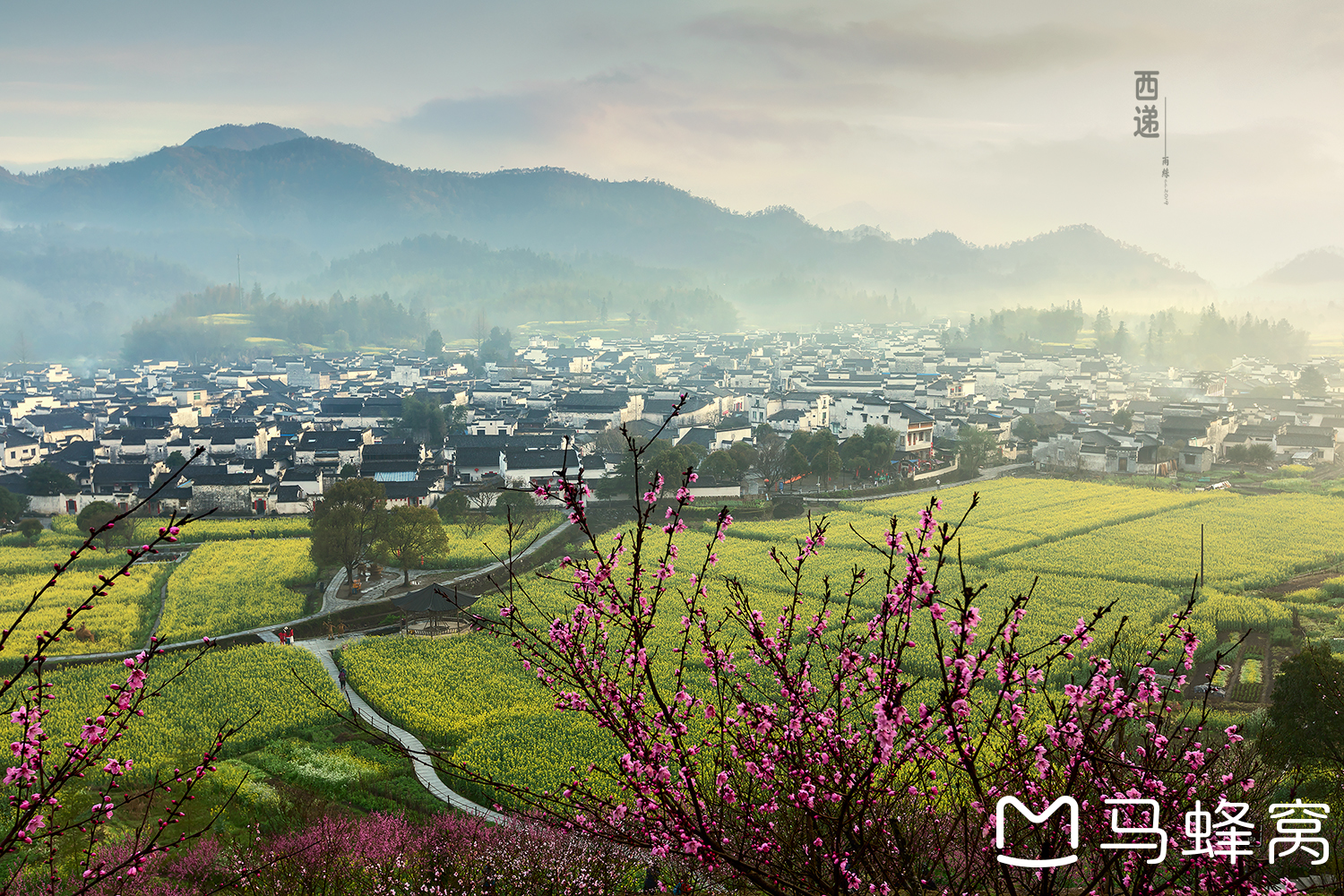 春天里的宏村,卢村,西递(2019.3.19-3.23)