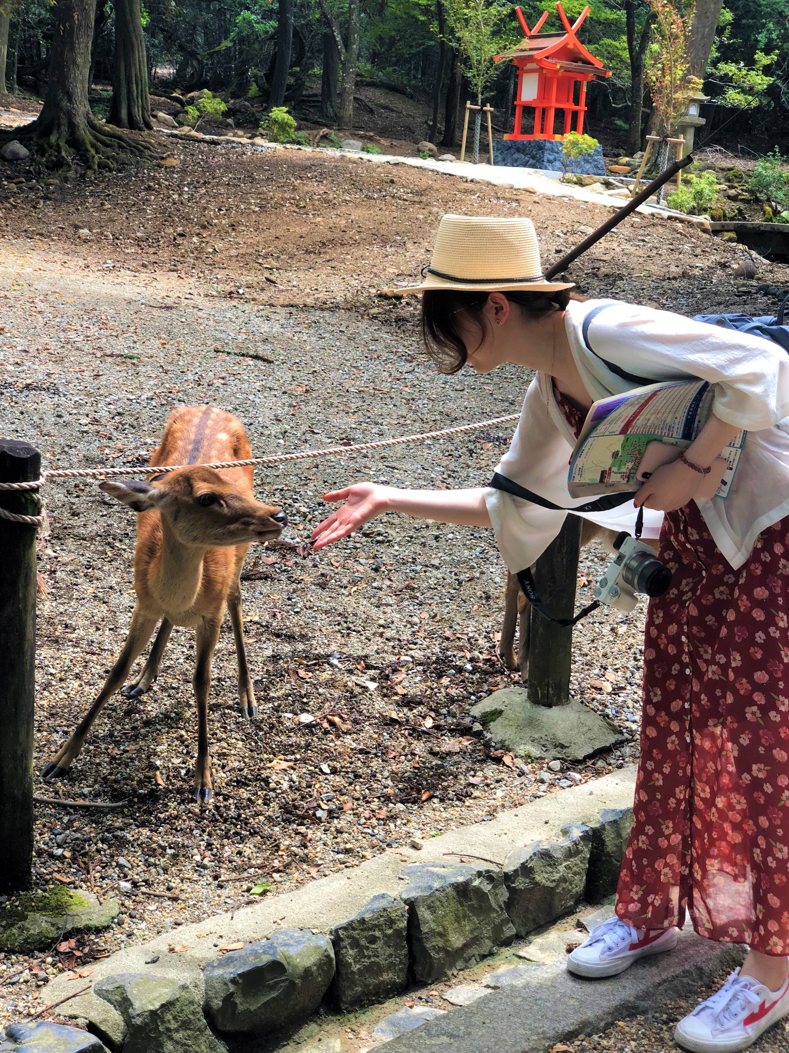 大阪自助遊攻略