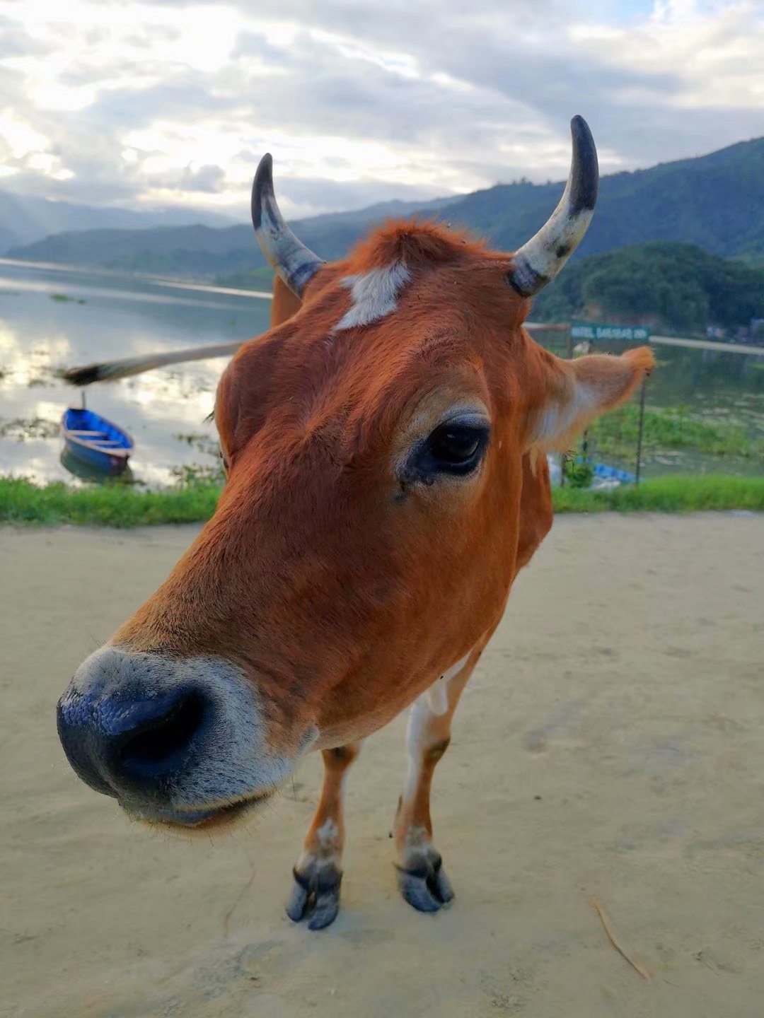 尼泊爾自助遊攻略