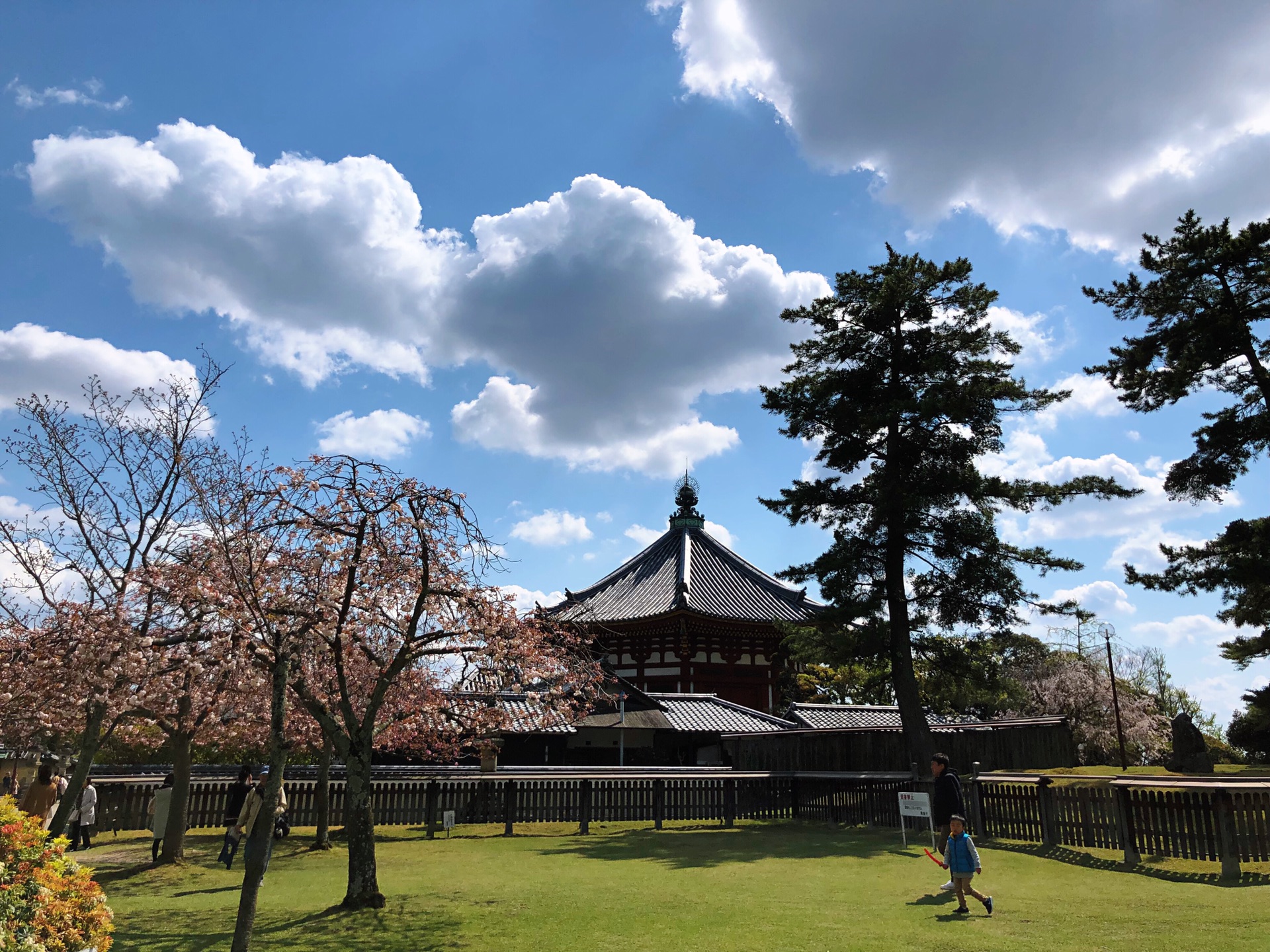 京都自助遊攻略