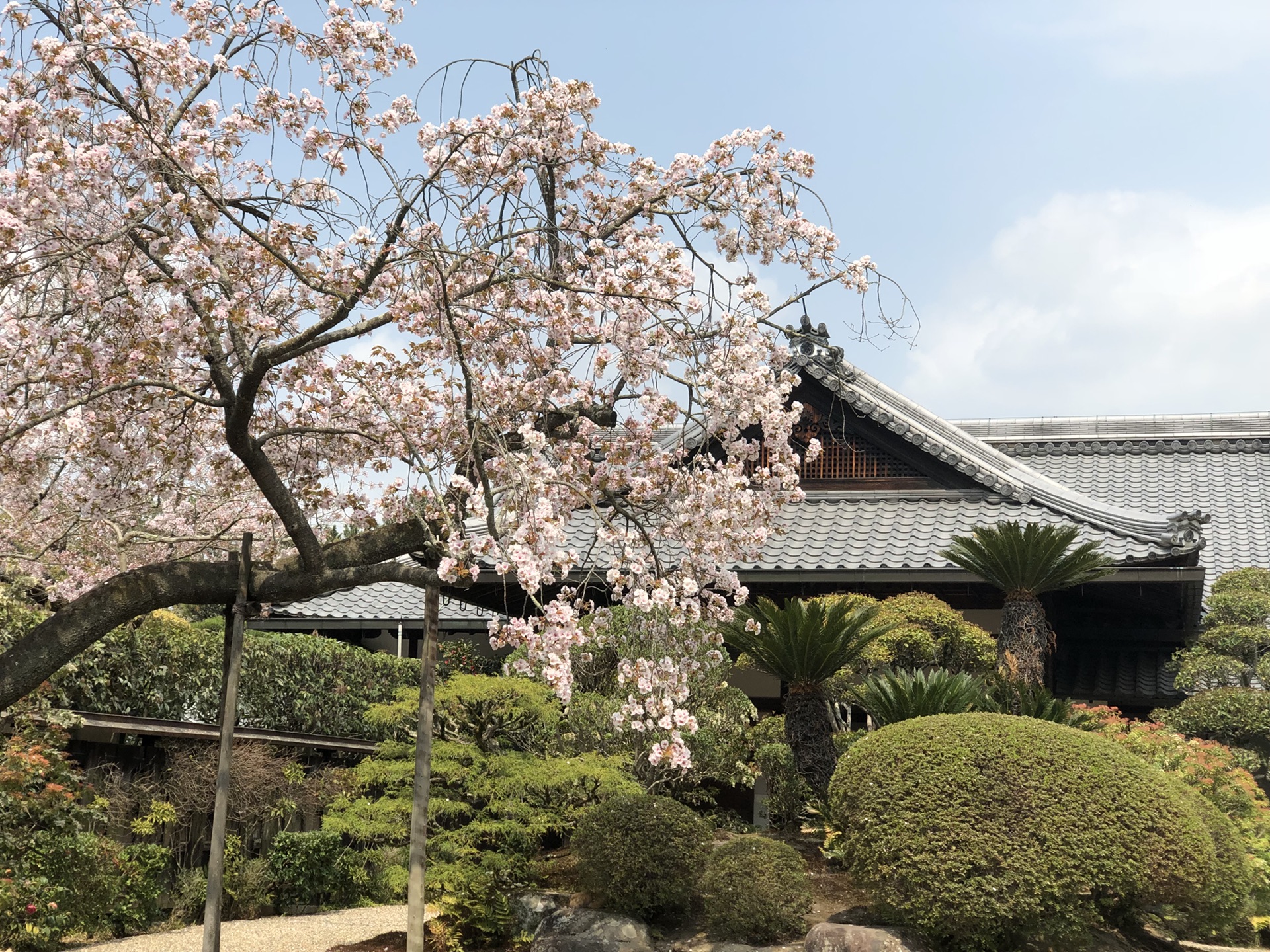 京都自助遊攻略