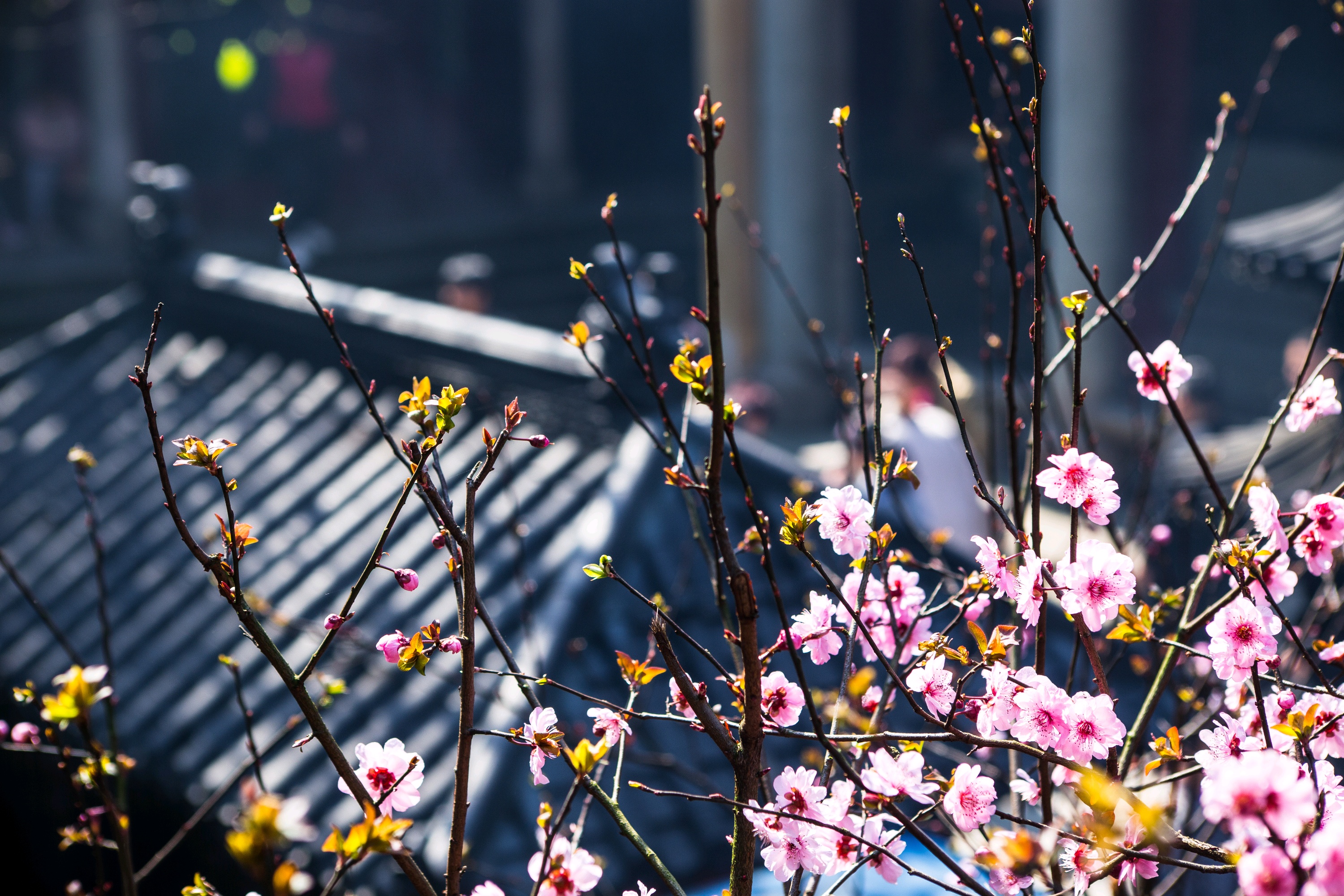新昌左于村