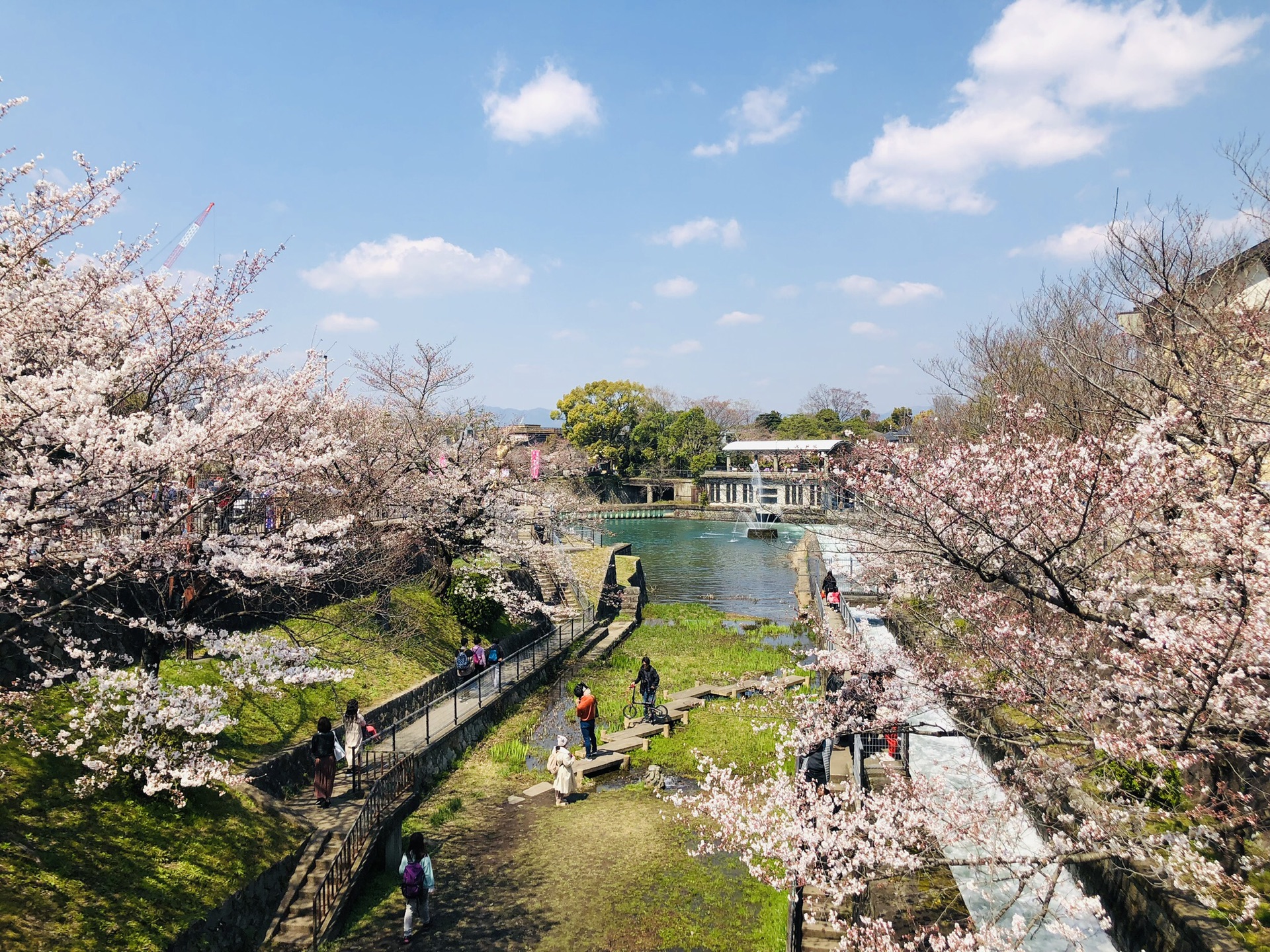 京都自助遊攻略