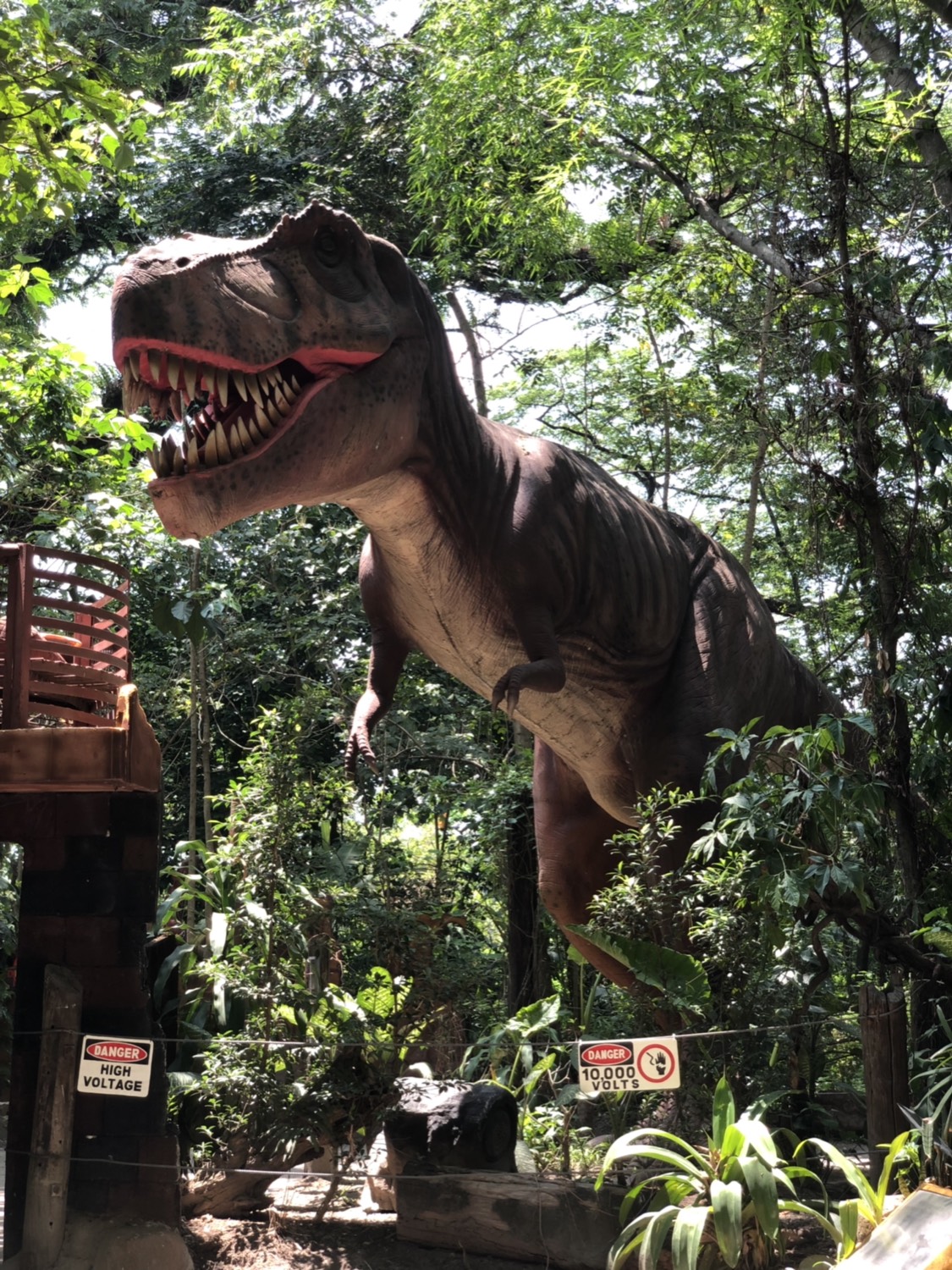 【邦板牙景点图片】dinosaur island