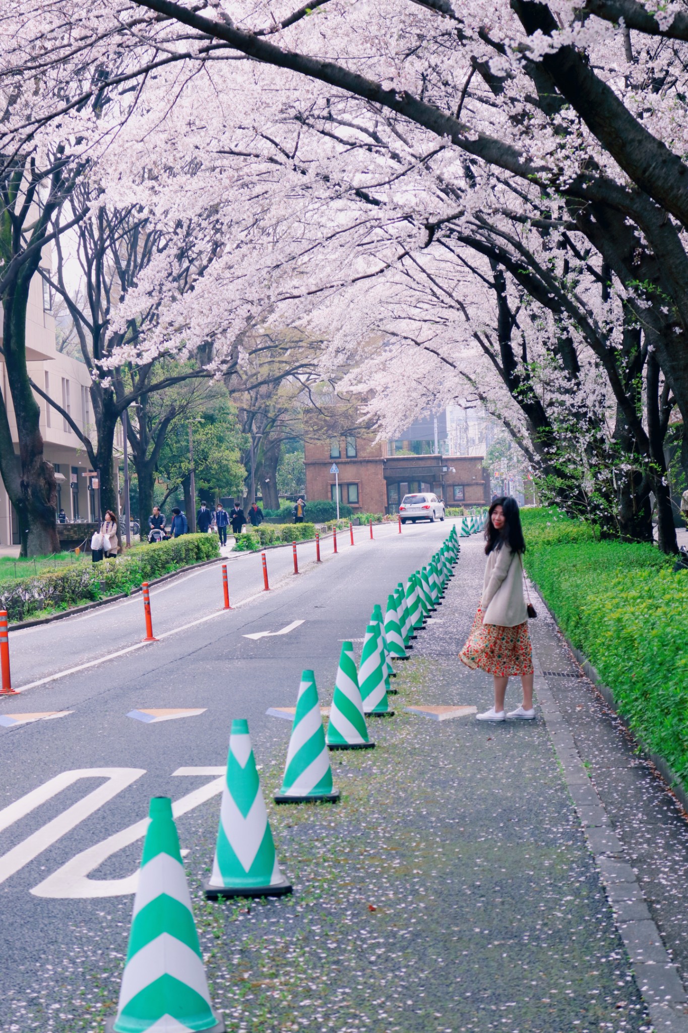 東京自助遊攻略