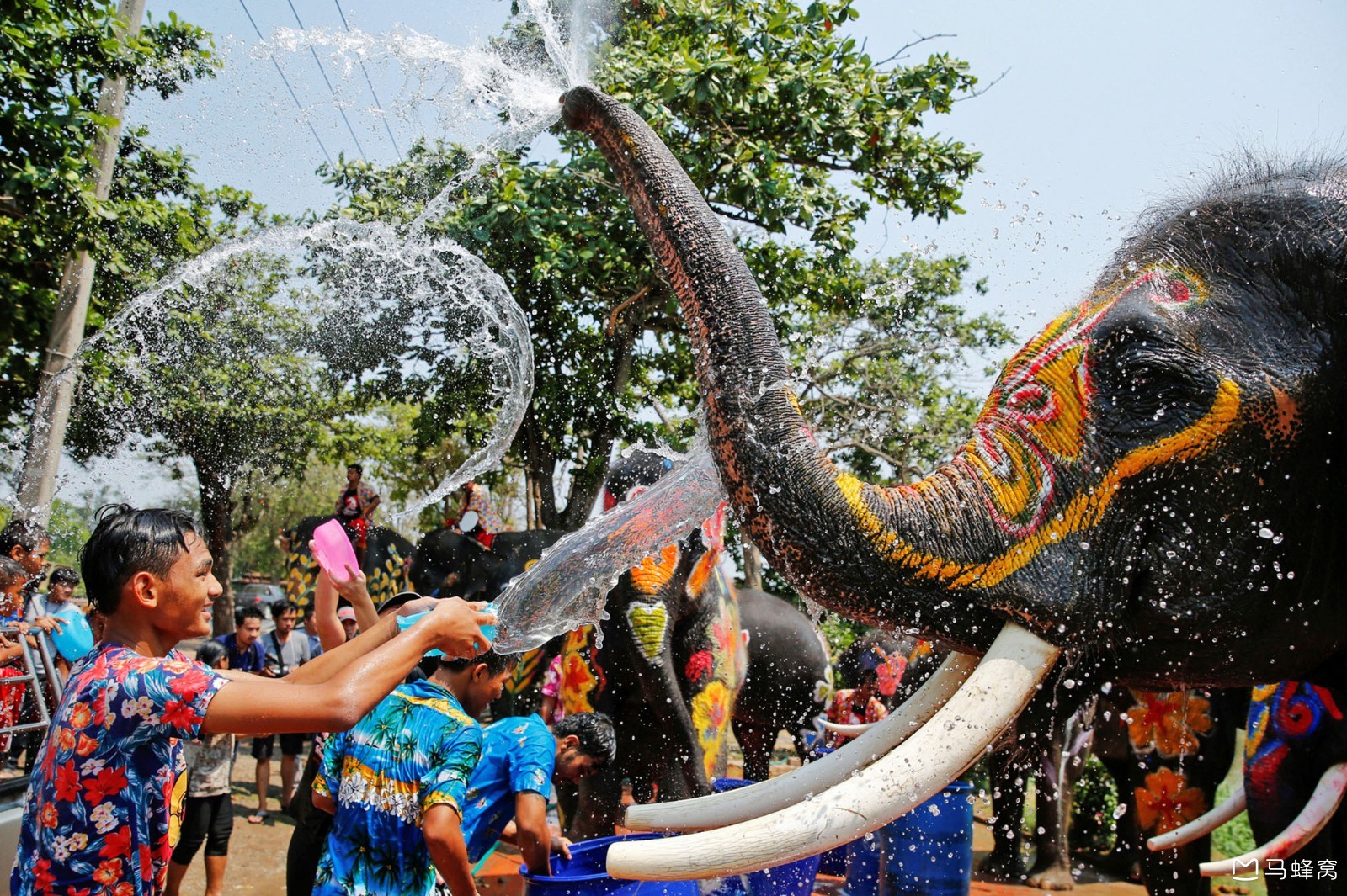 清迈泼水节好玩吗?热闹吗?_马蜂窝问答 - 马蜂窝