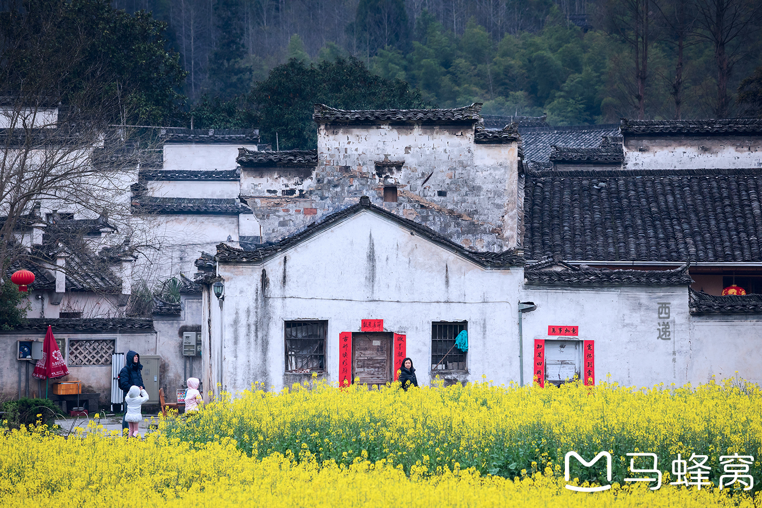 春天里的宏村,卢村,西递(2019.3.19-3.23)