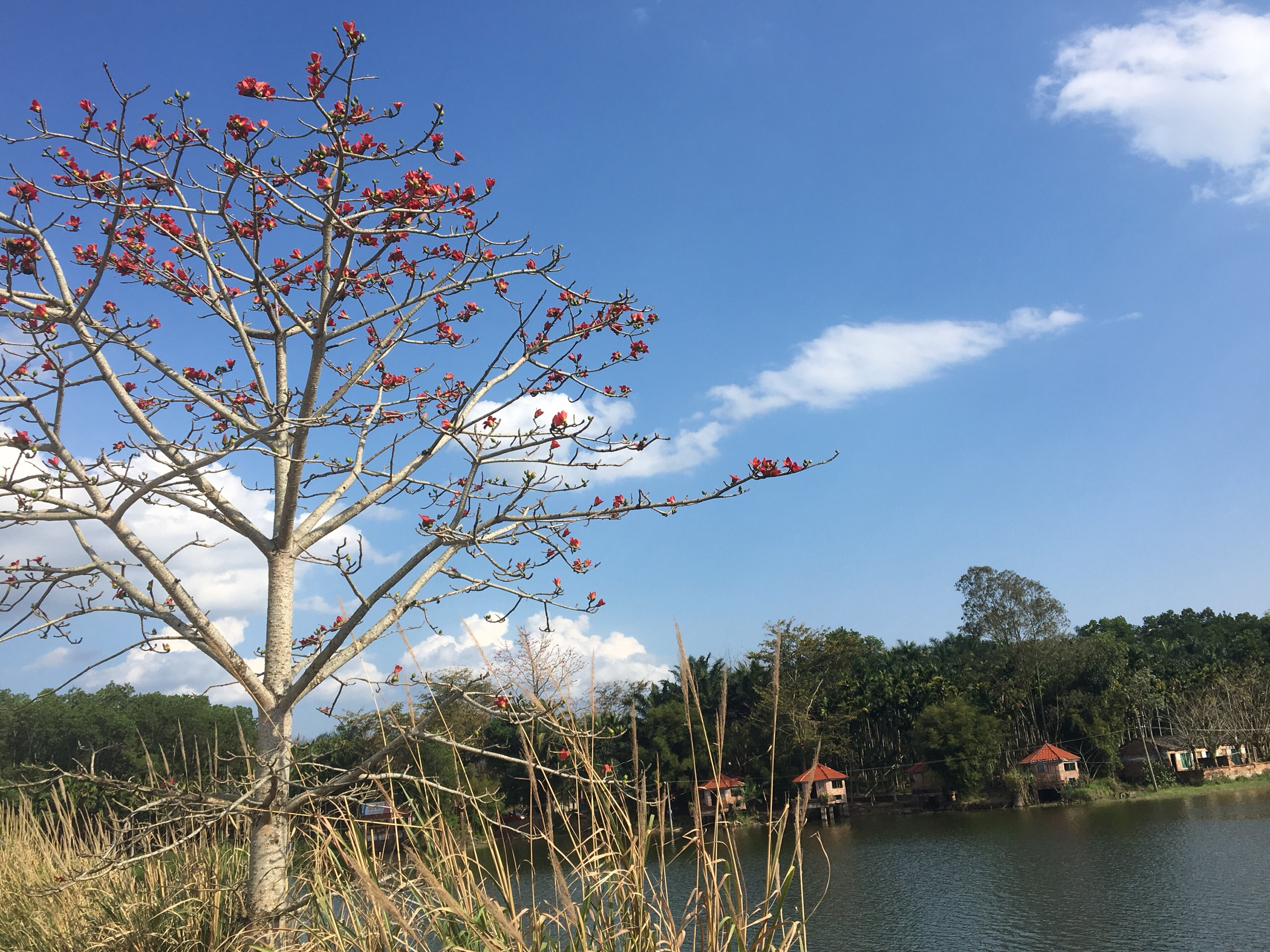 五指山市美食-汕川酒家