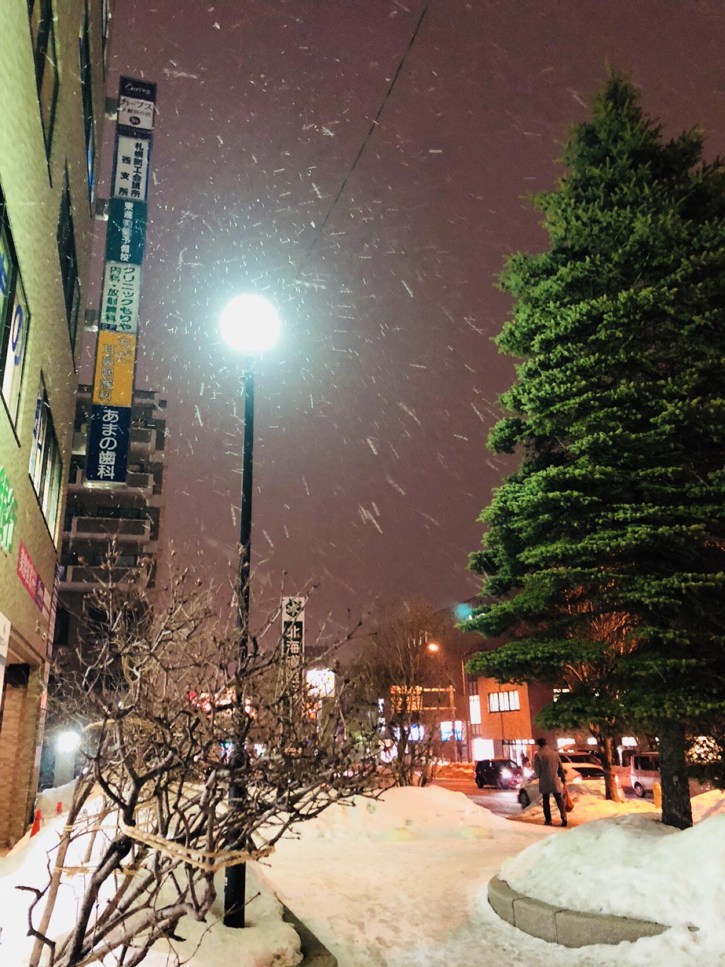 札幌自助遊攻略