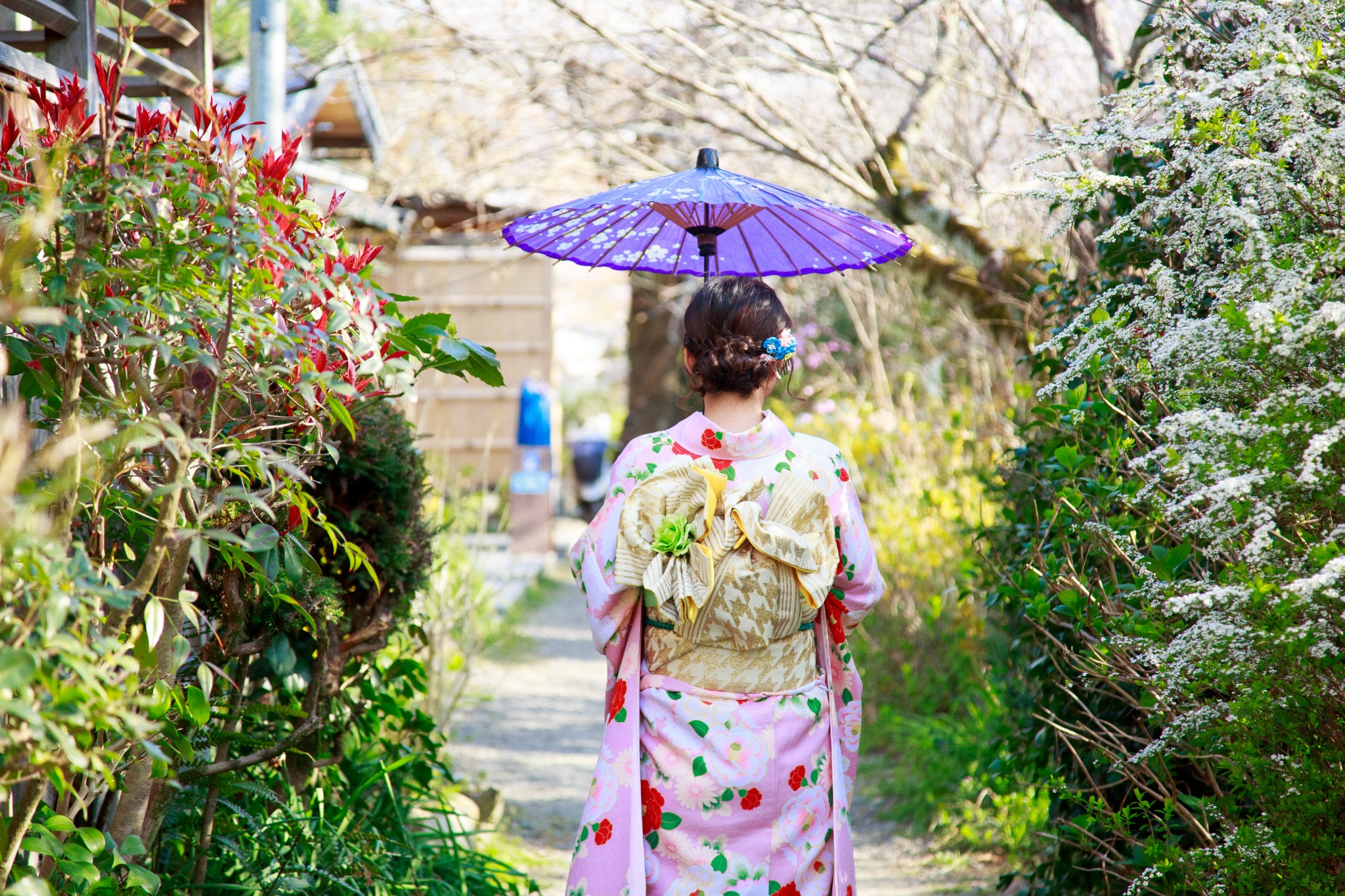 京都自助遊攻略