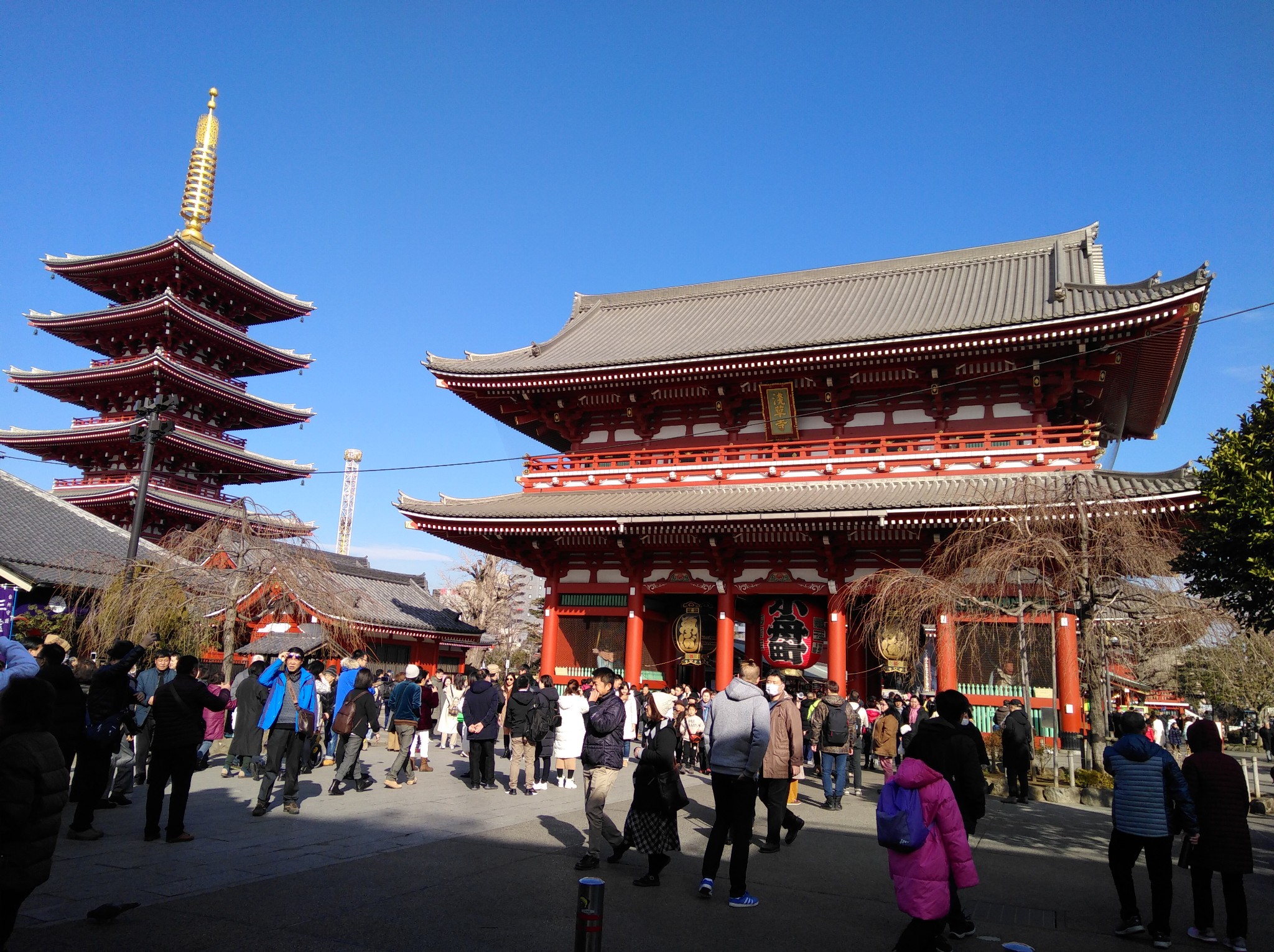 東京自助遊攻略