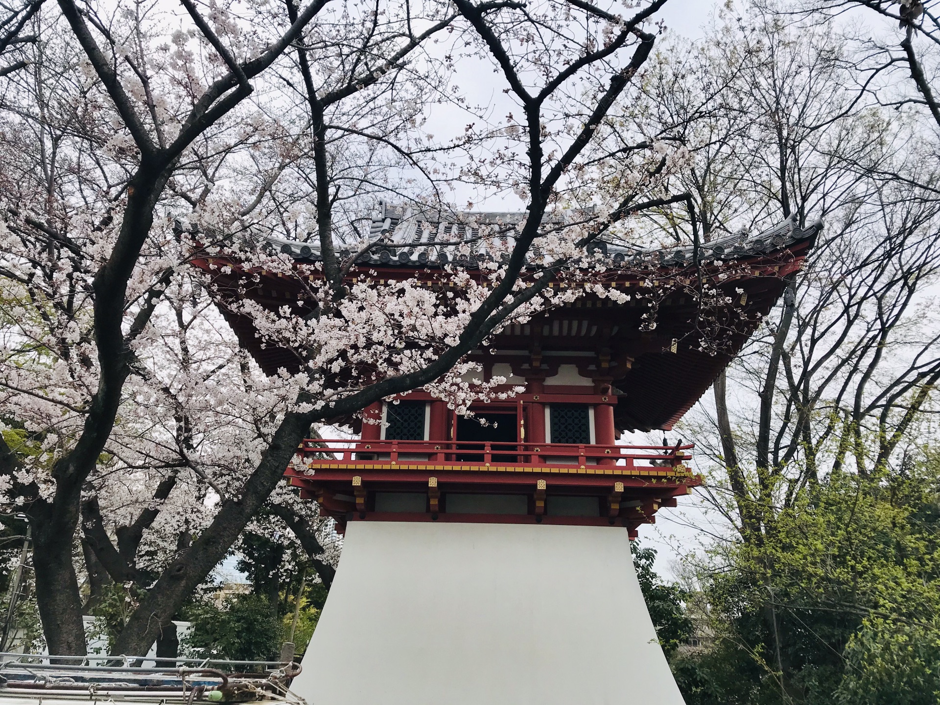 東京自助遊攻略