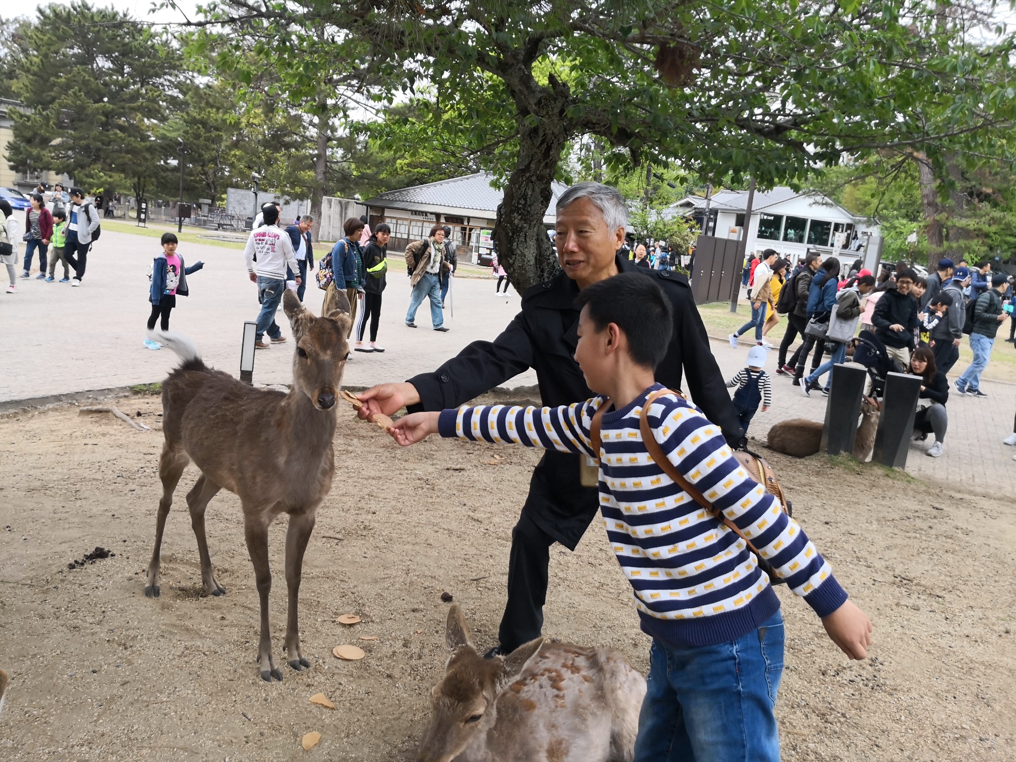 大阪自助遊攻略