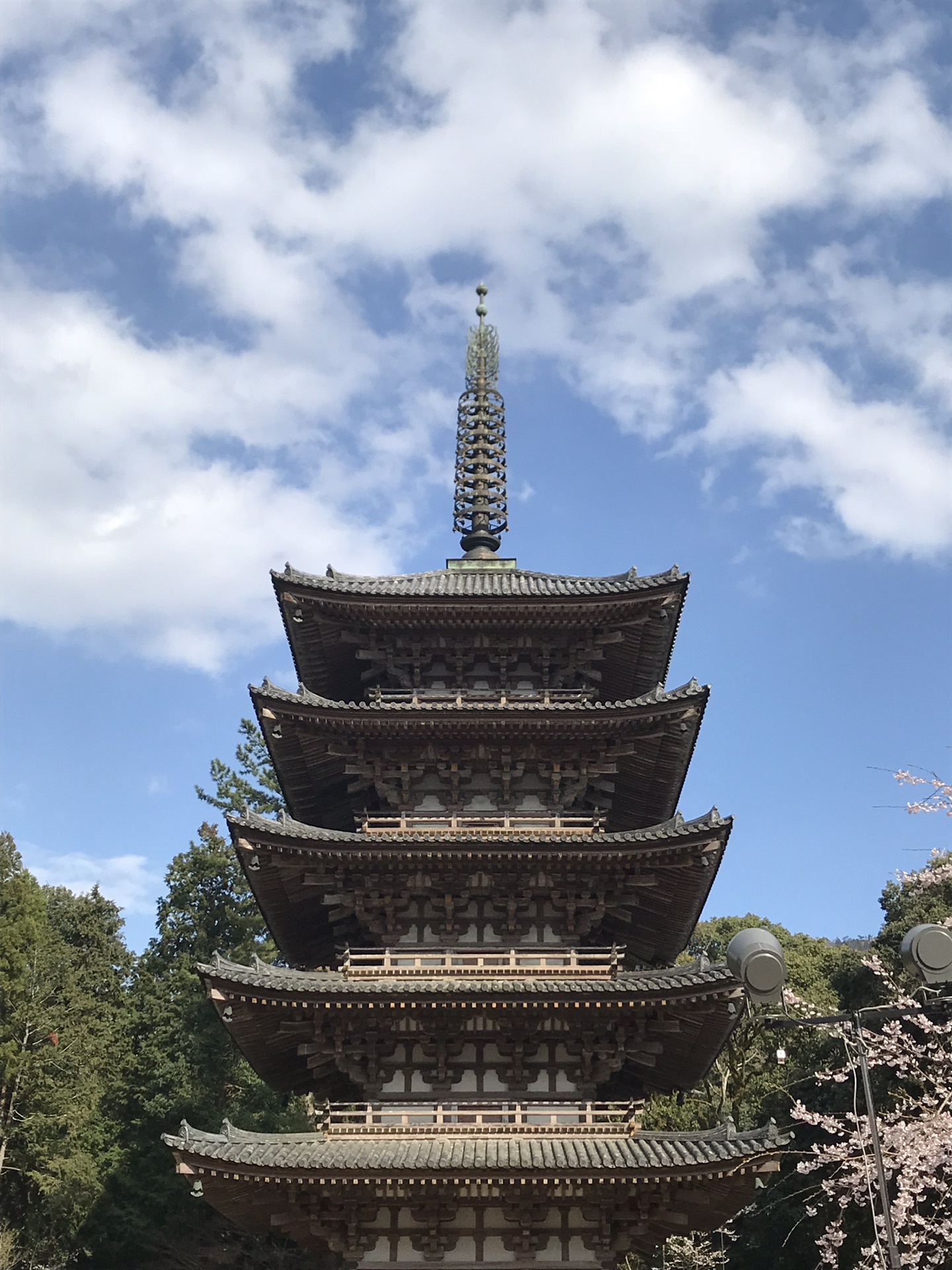 日本关西—关东樱花季自由行