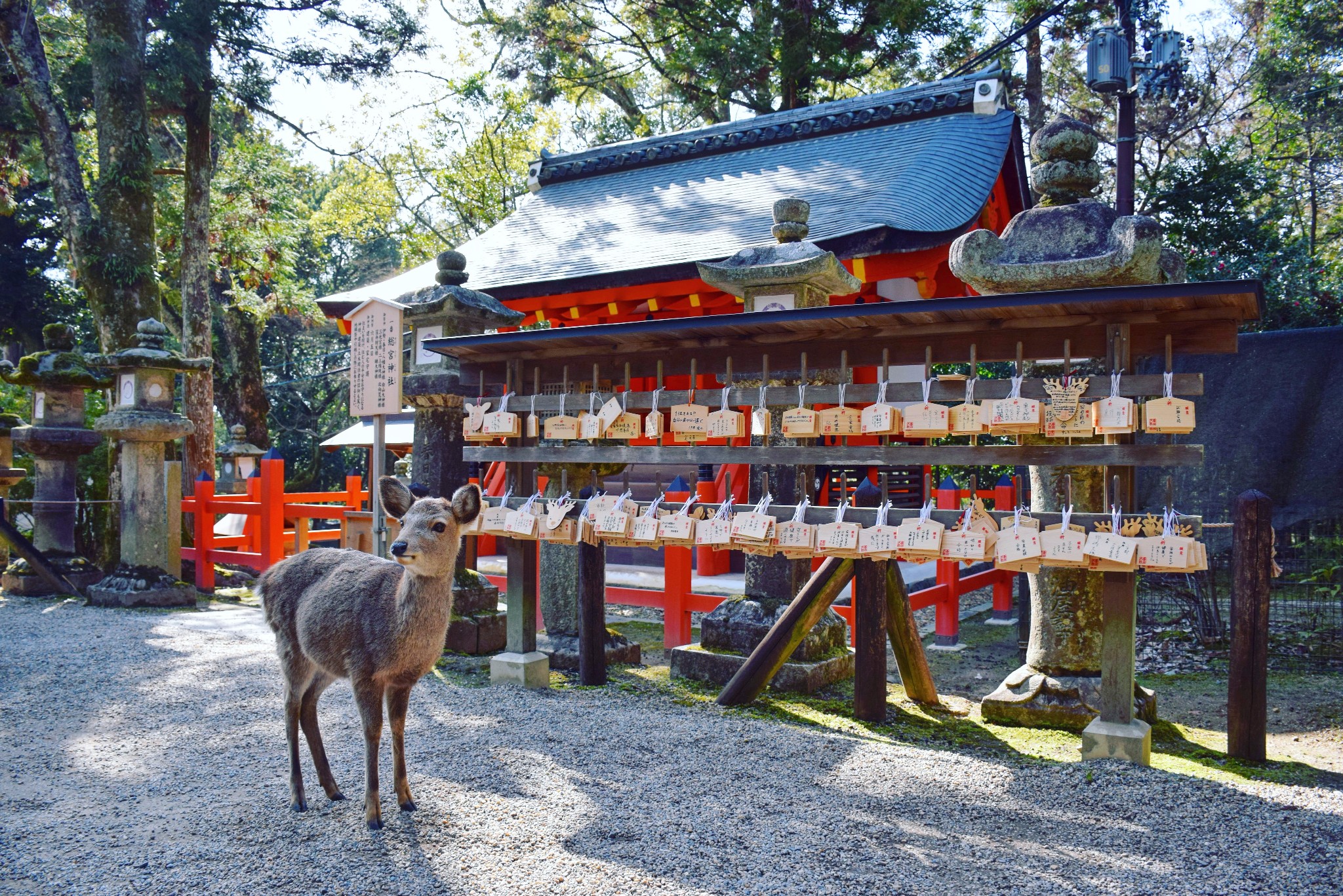 京都自助遊攻略