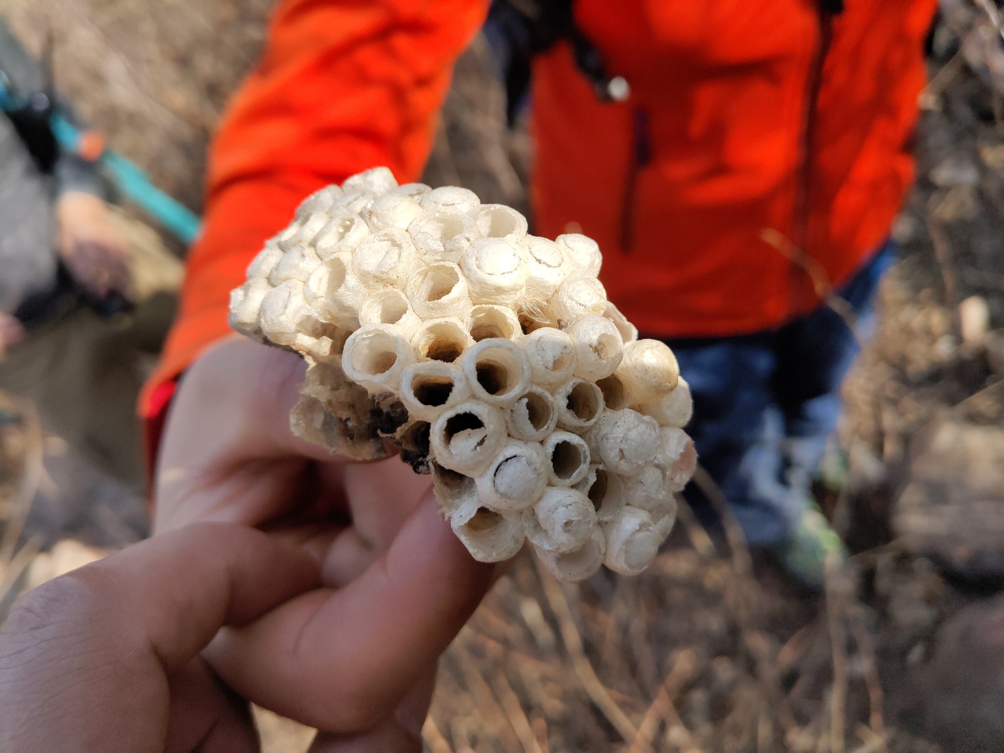 铁门关                                张照片