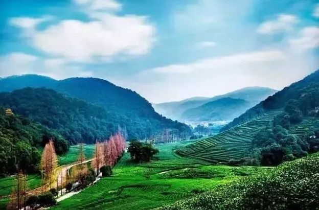 浙江这8个小众旅行地,超适合春天自驾游玩!