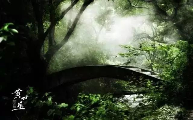 浙江这8个小众旅行地,超适合春天自驾游玩!