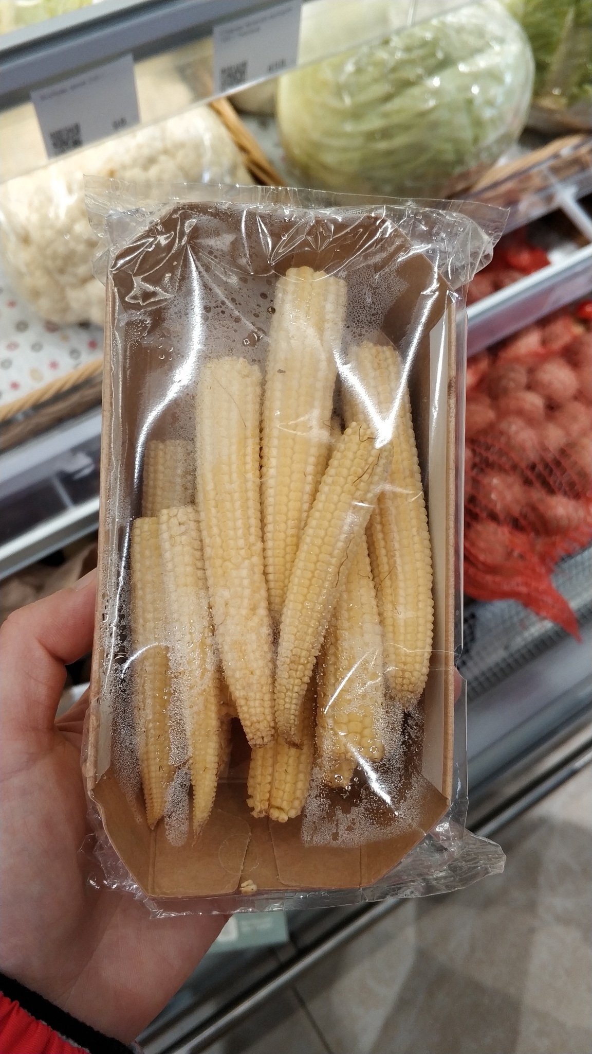 这个冬天一路向北莫斯科圣彼得堡摩尔曼斯克