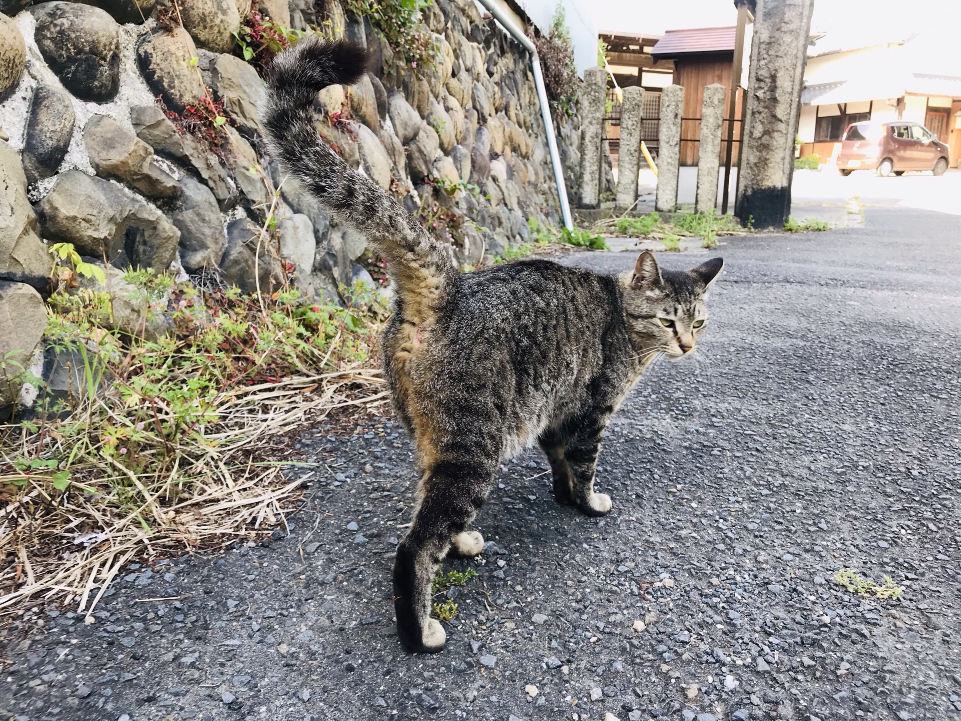 名古屋自助遊攻略