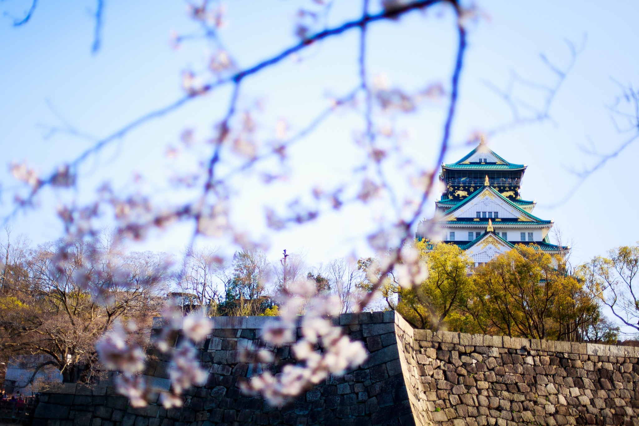 京都自助遊攻略