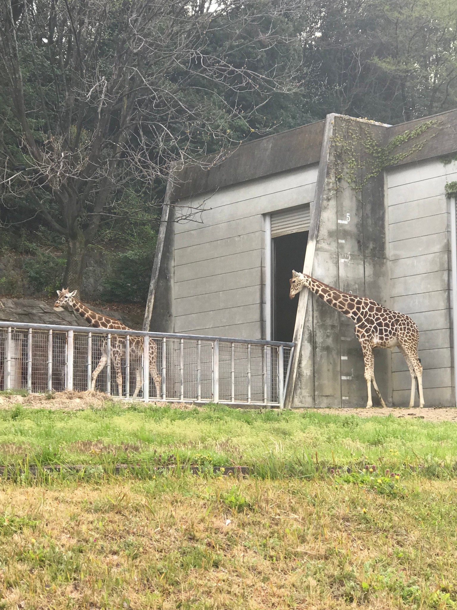 名古屋自助遊攻略