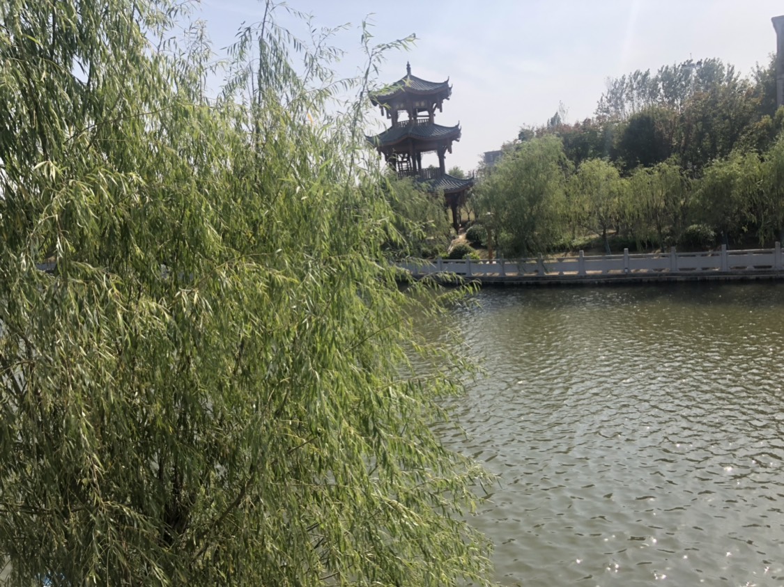 【临泉景点图片】木一博览园