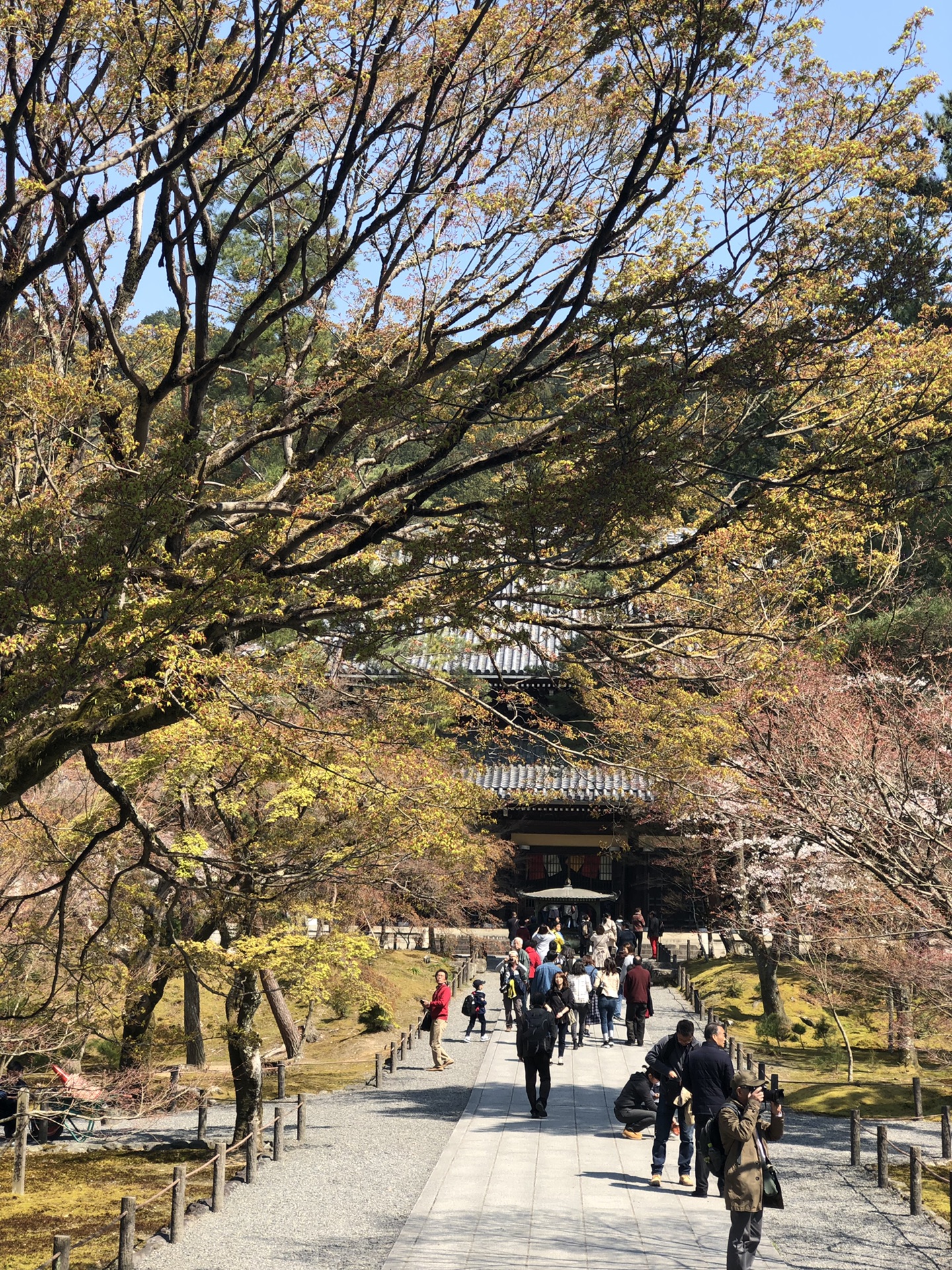 京都自助遊攻略