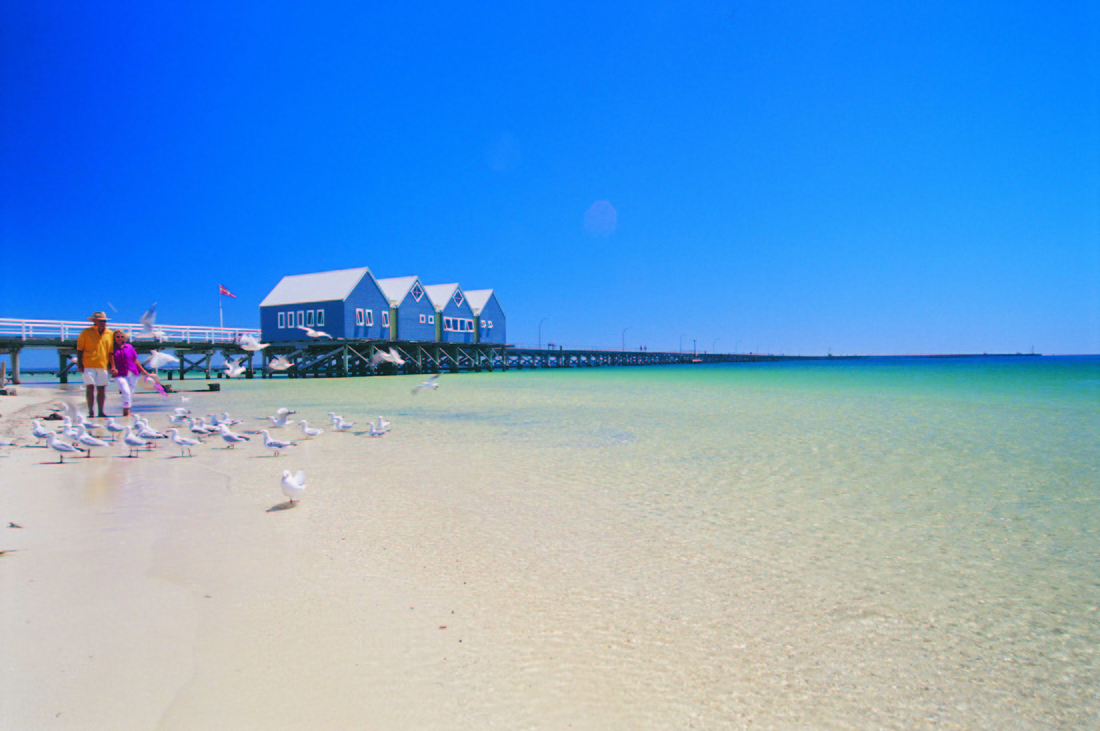 送半日游 珀斯玛格丽特河 巴瑟尔顿栈桥可坐火车观光 猛犸岩洞 波然普