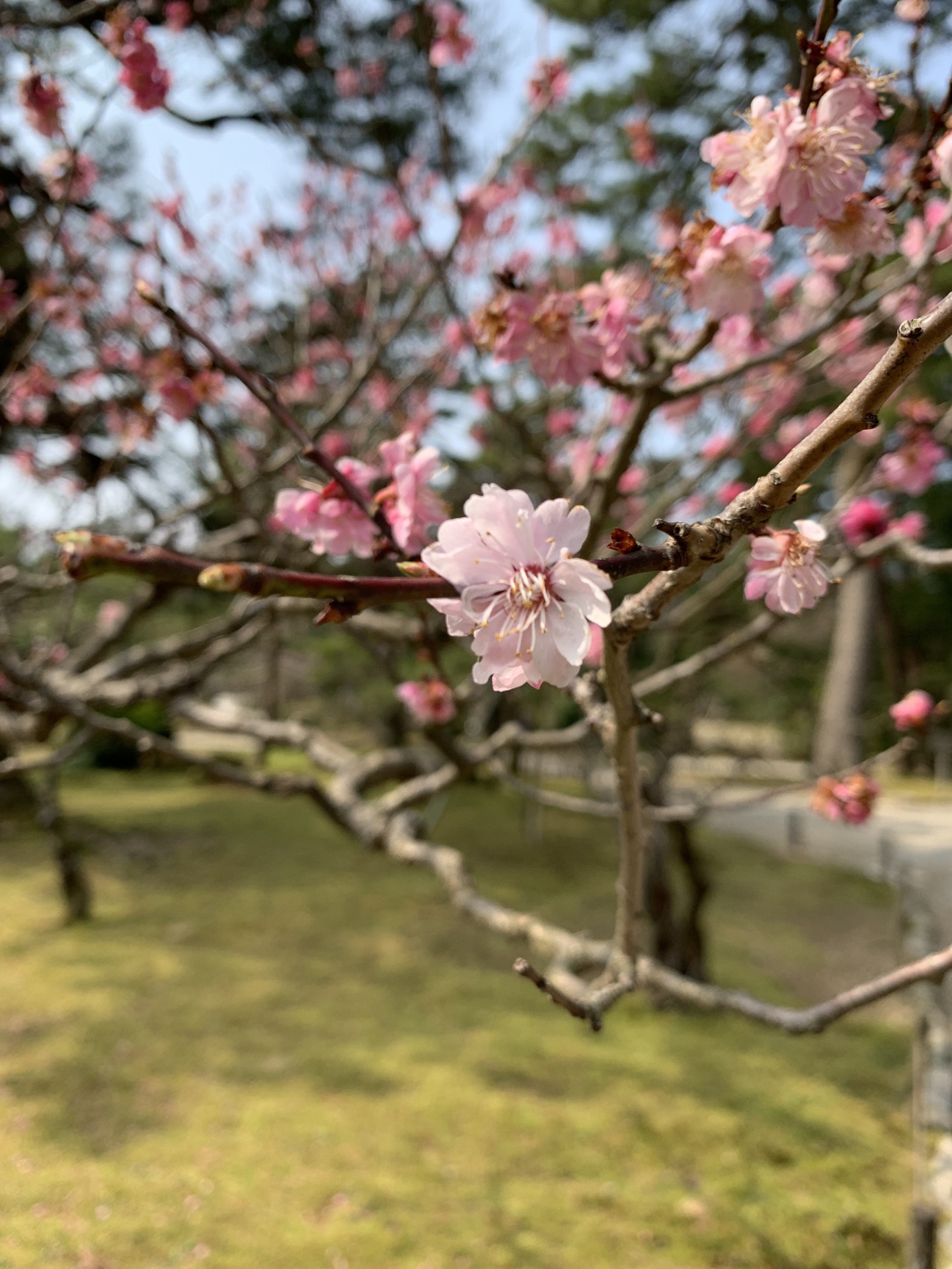 名古屋自助遊攻略