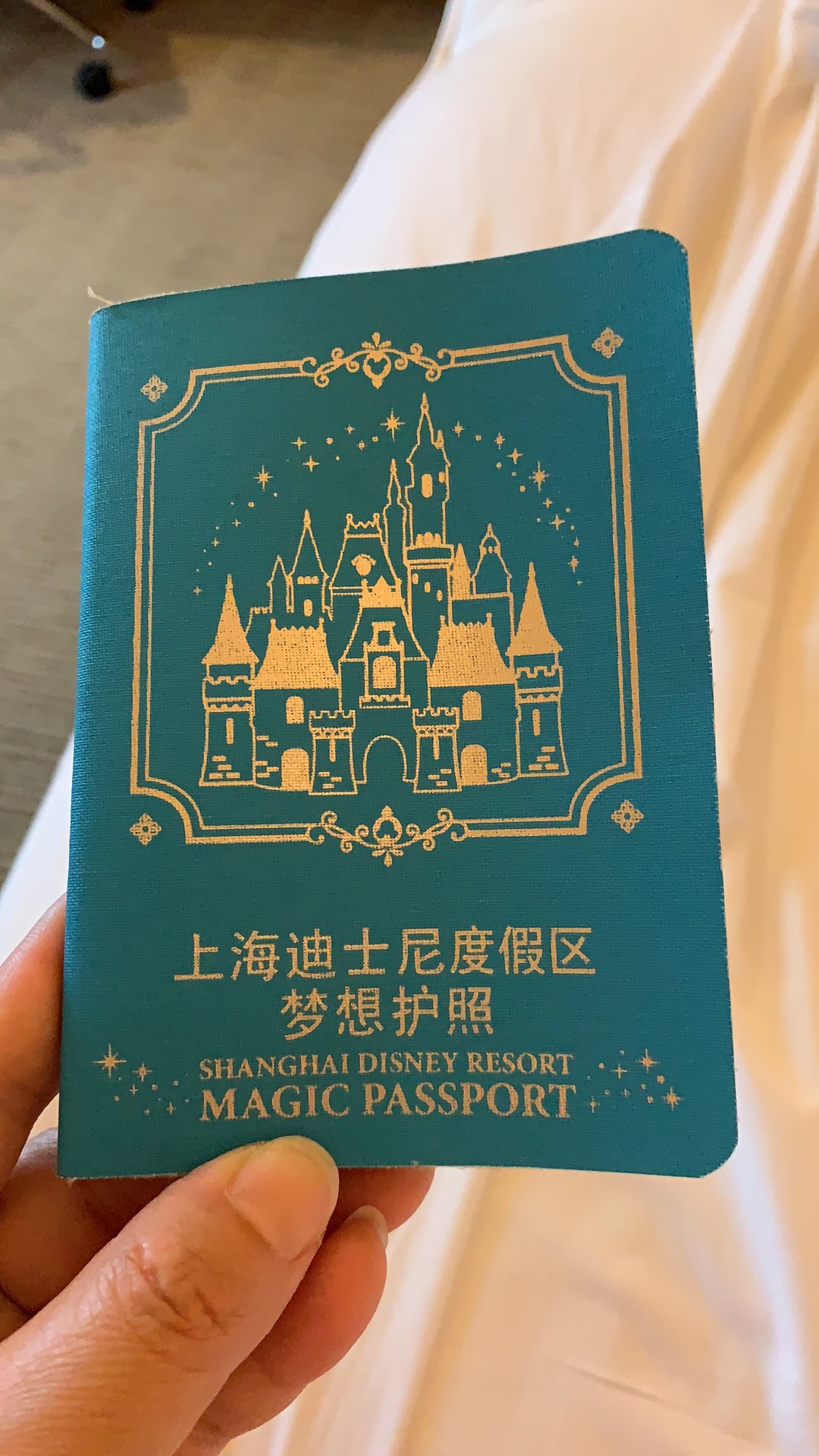 4.16 上海迪士尼一日游