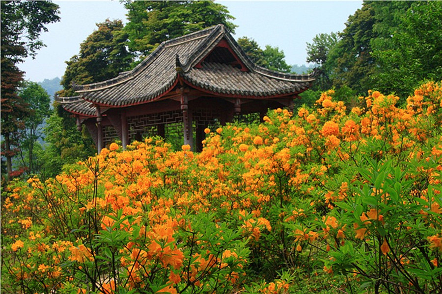 成都彭州丹景山景區門票