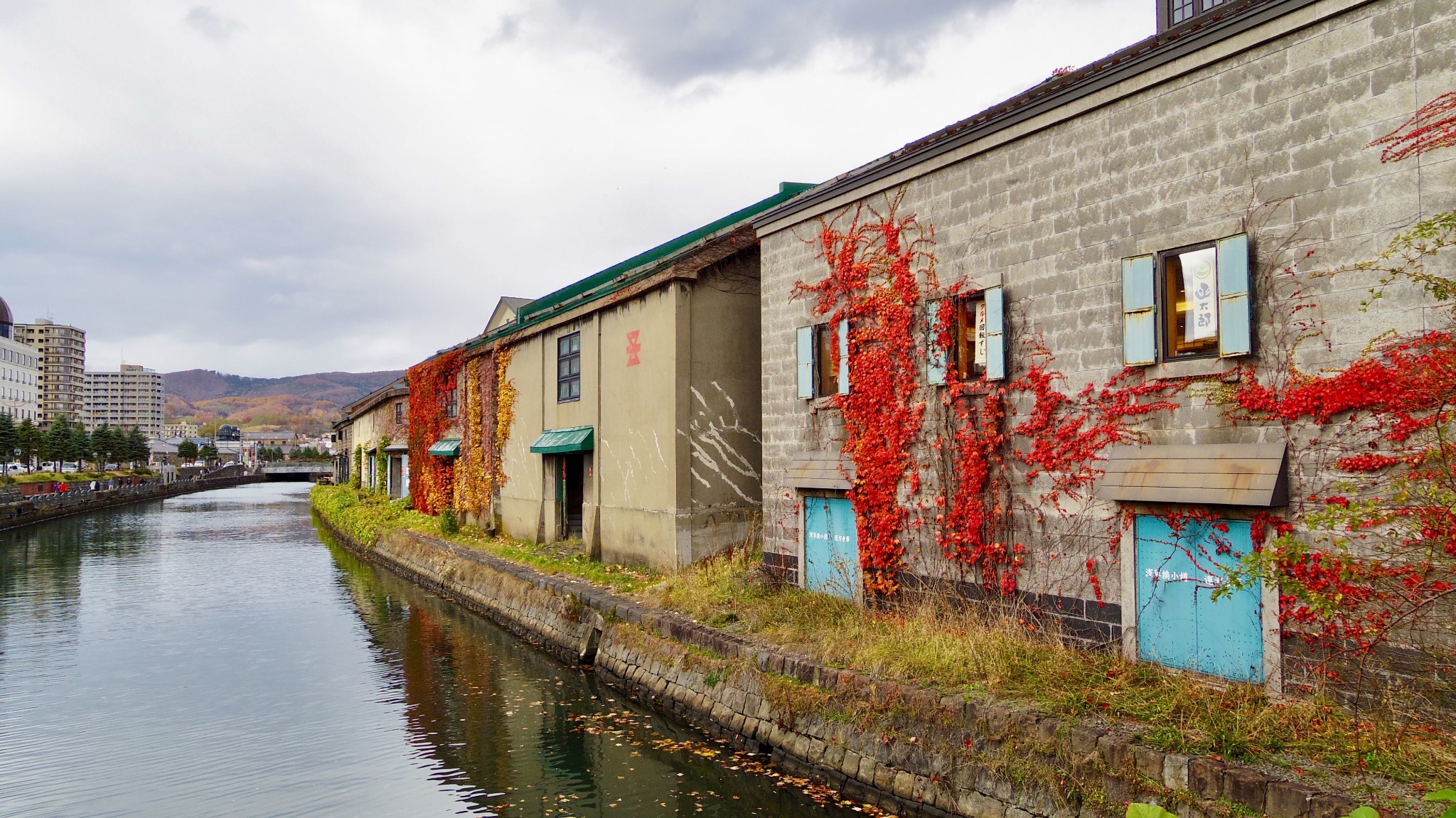 北海道自助遊攻略